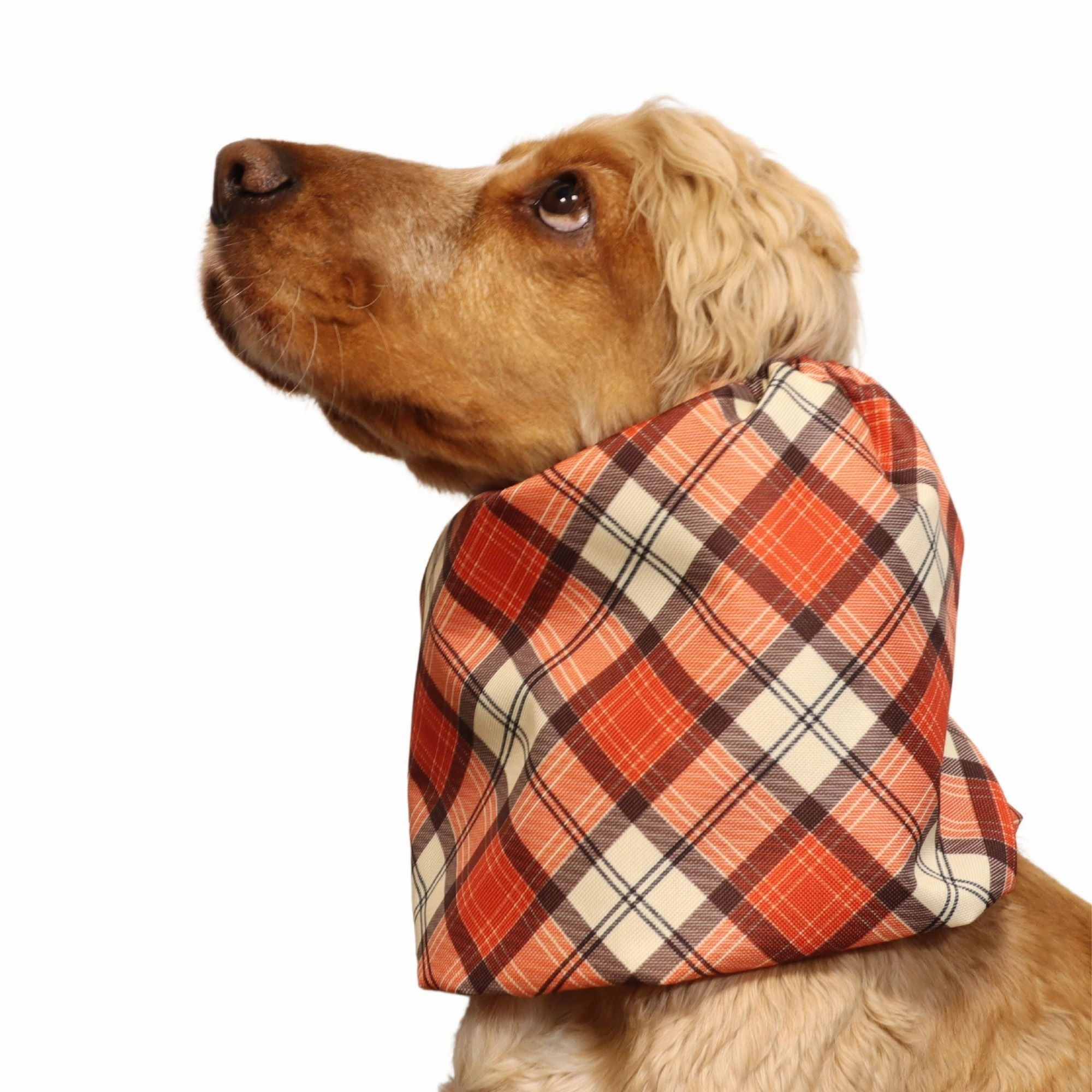 Waterproof Dog Snood | Copper Tartan