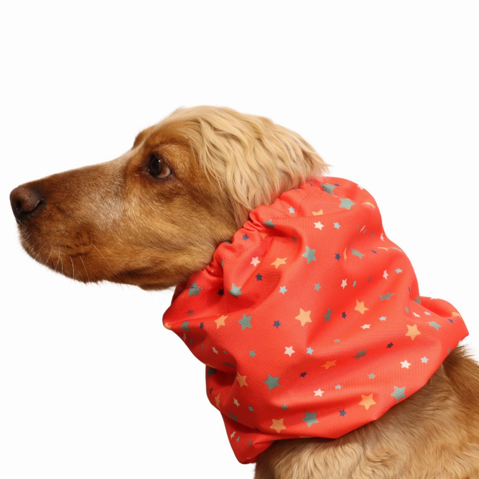 Waterproof Dog Snood | Coral Stars