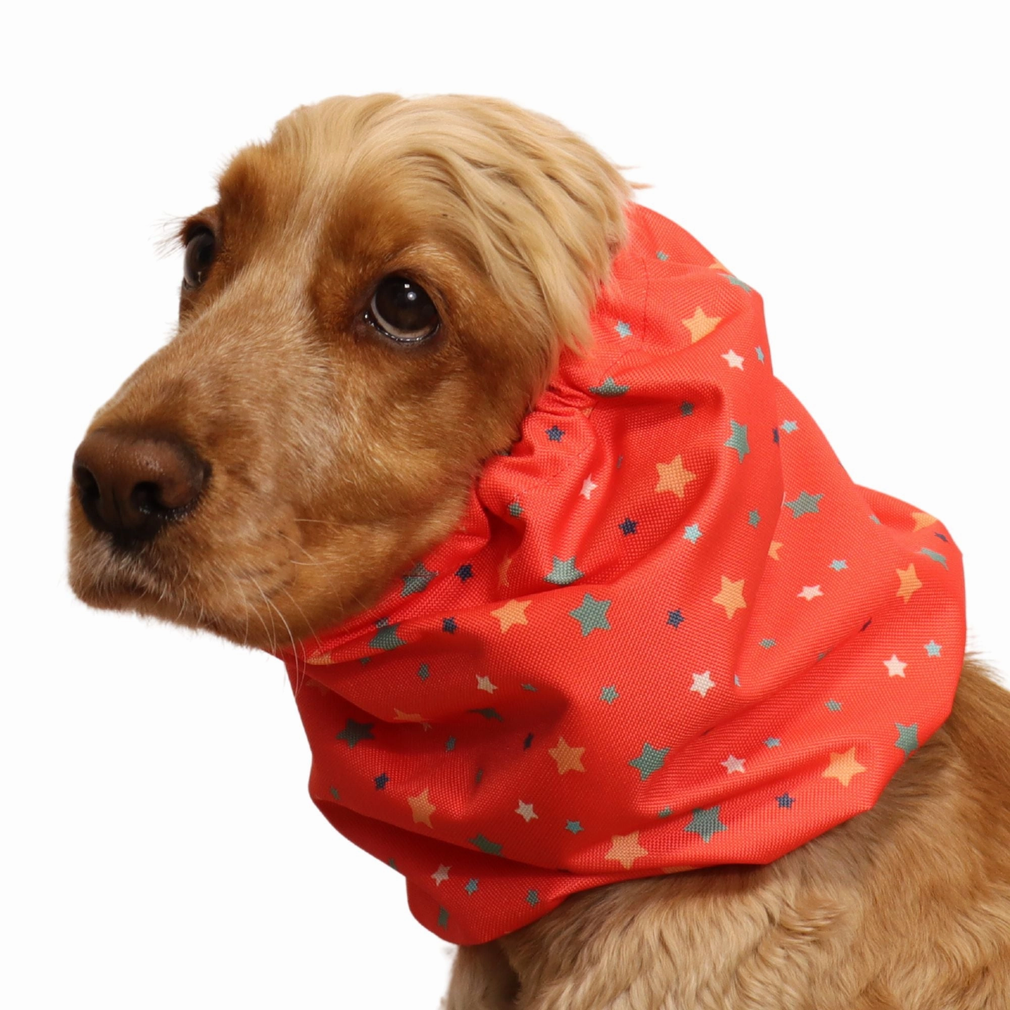 Waterproof Dog Snood | Coral Stars