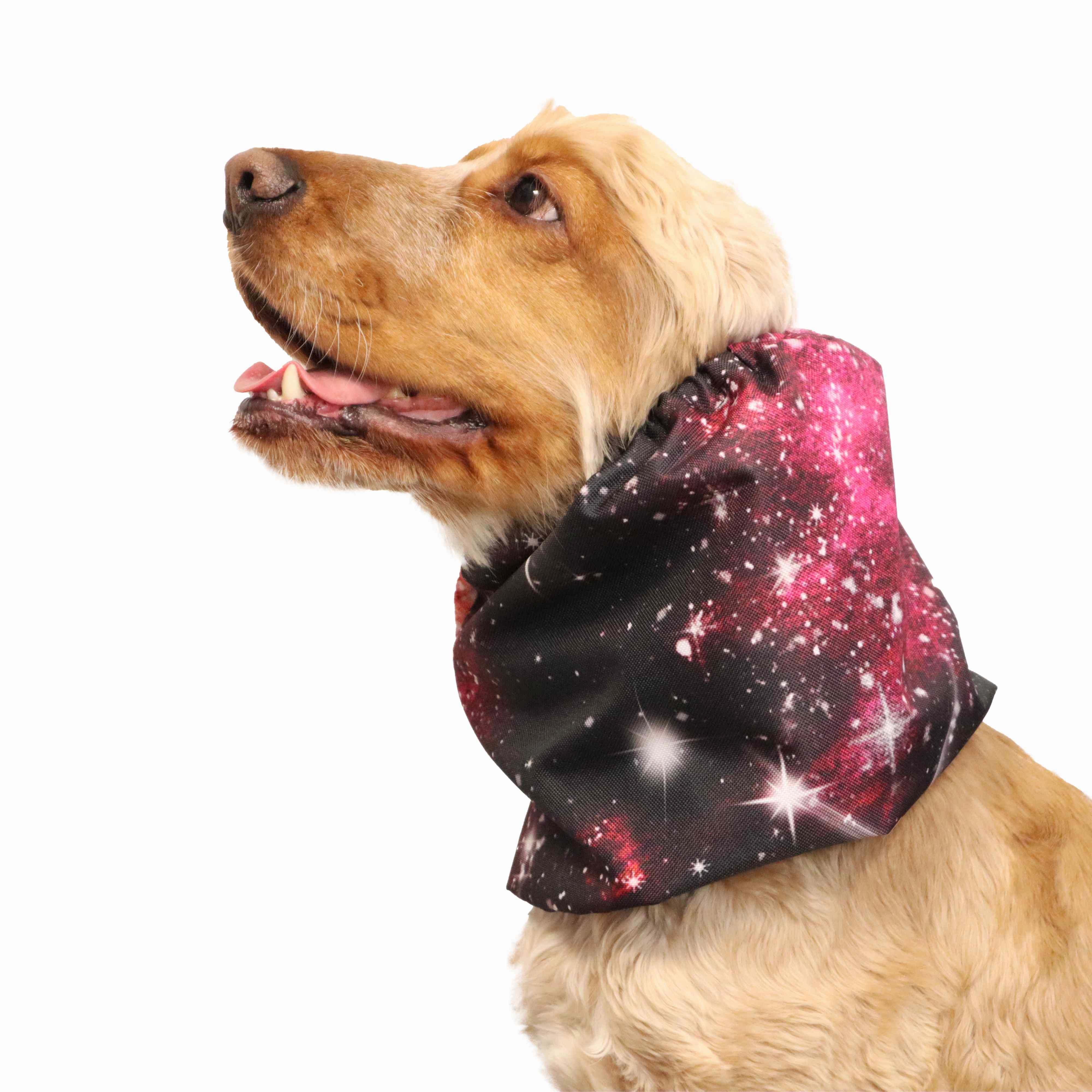 Waterproof Dog Snood | Cosmic II