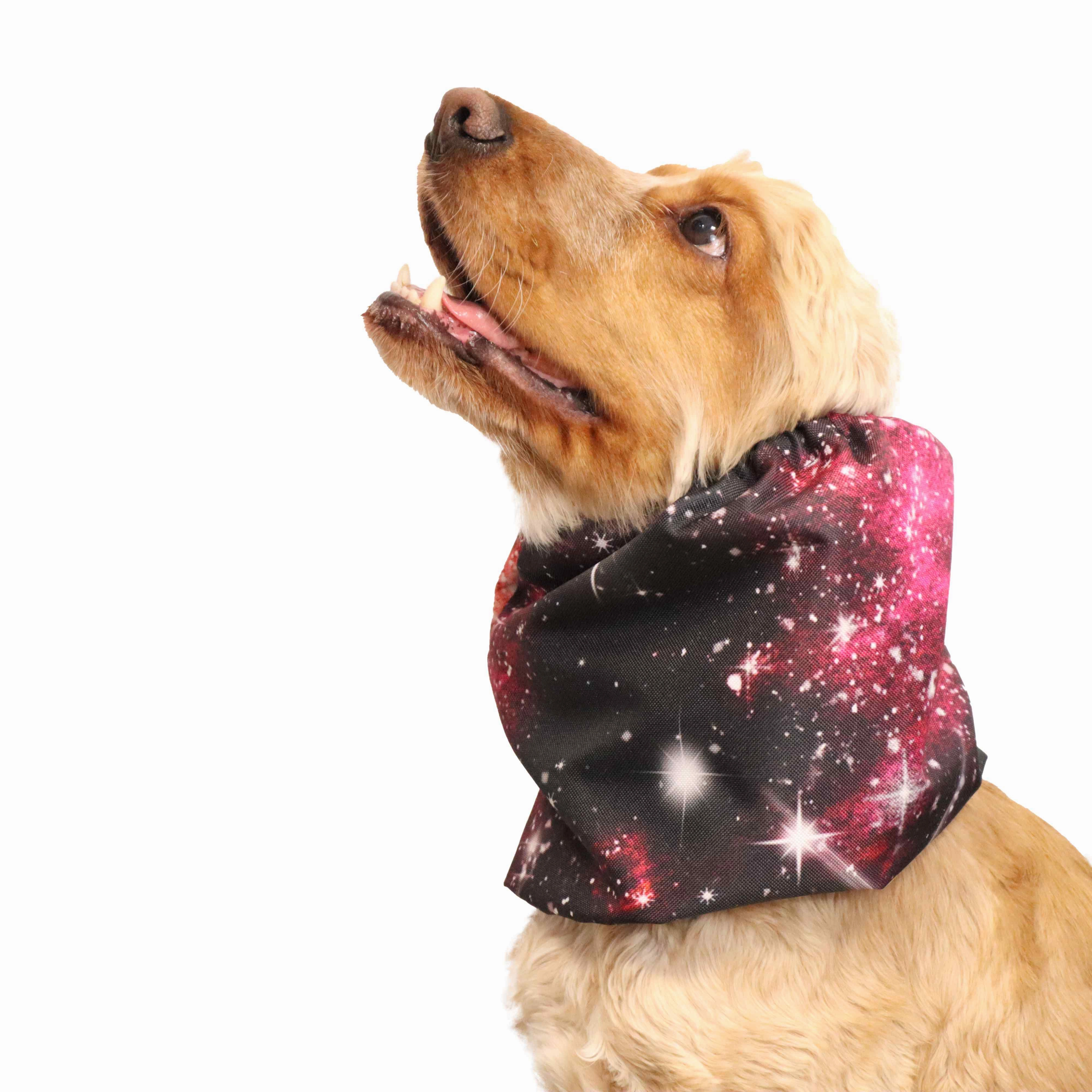 Waterproof Dog Snood | Cosmic II