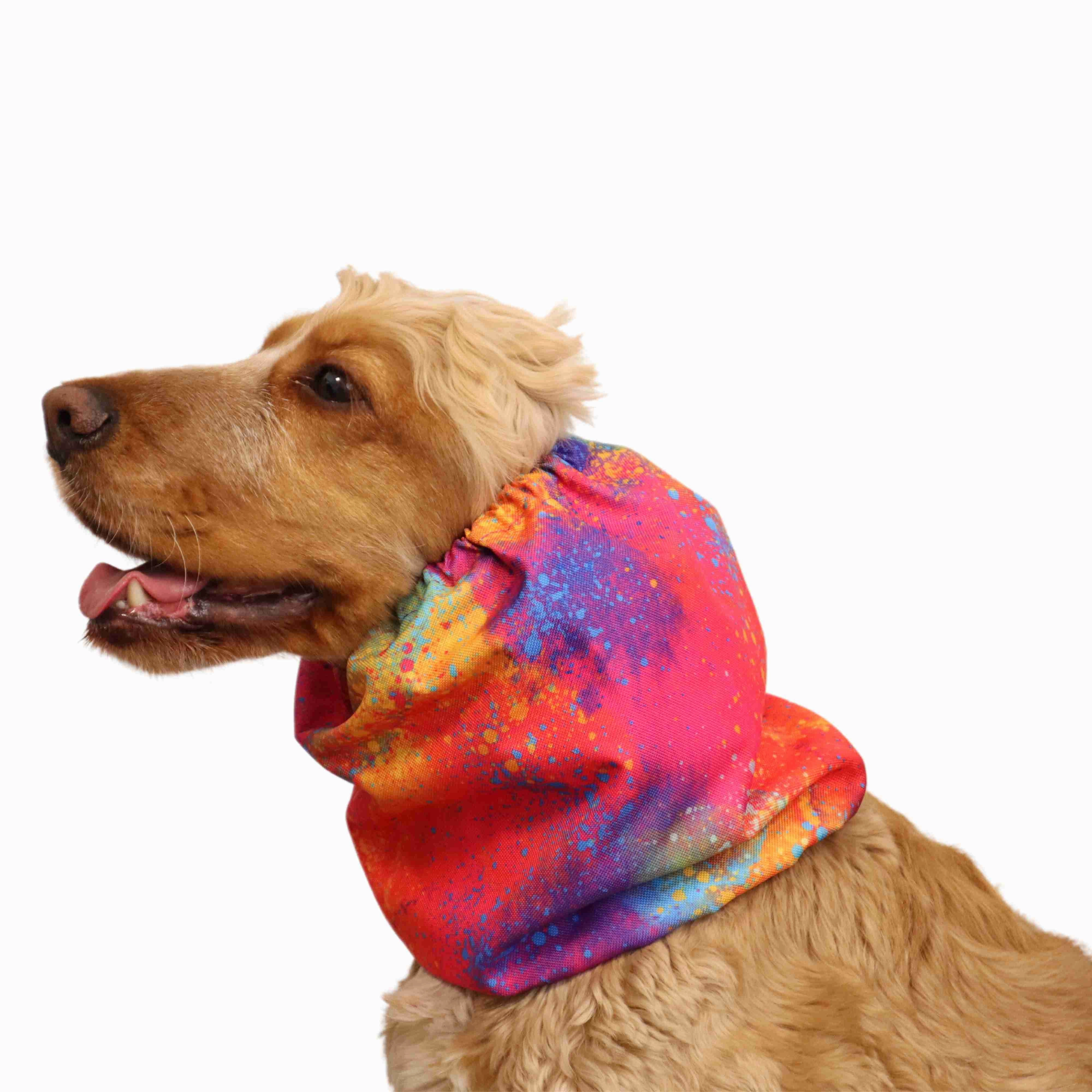 Waterproof Dog Snood | Crazy Paint