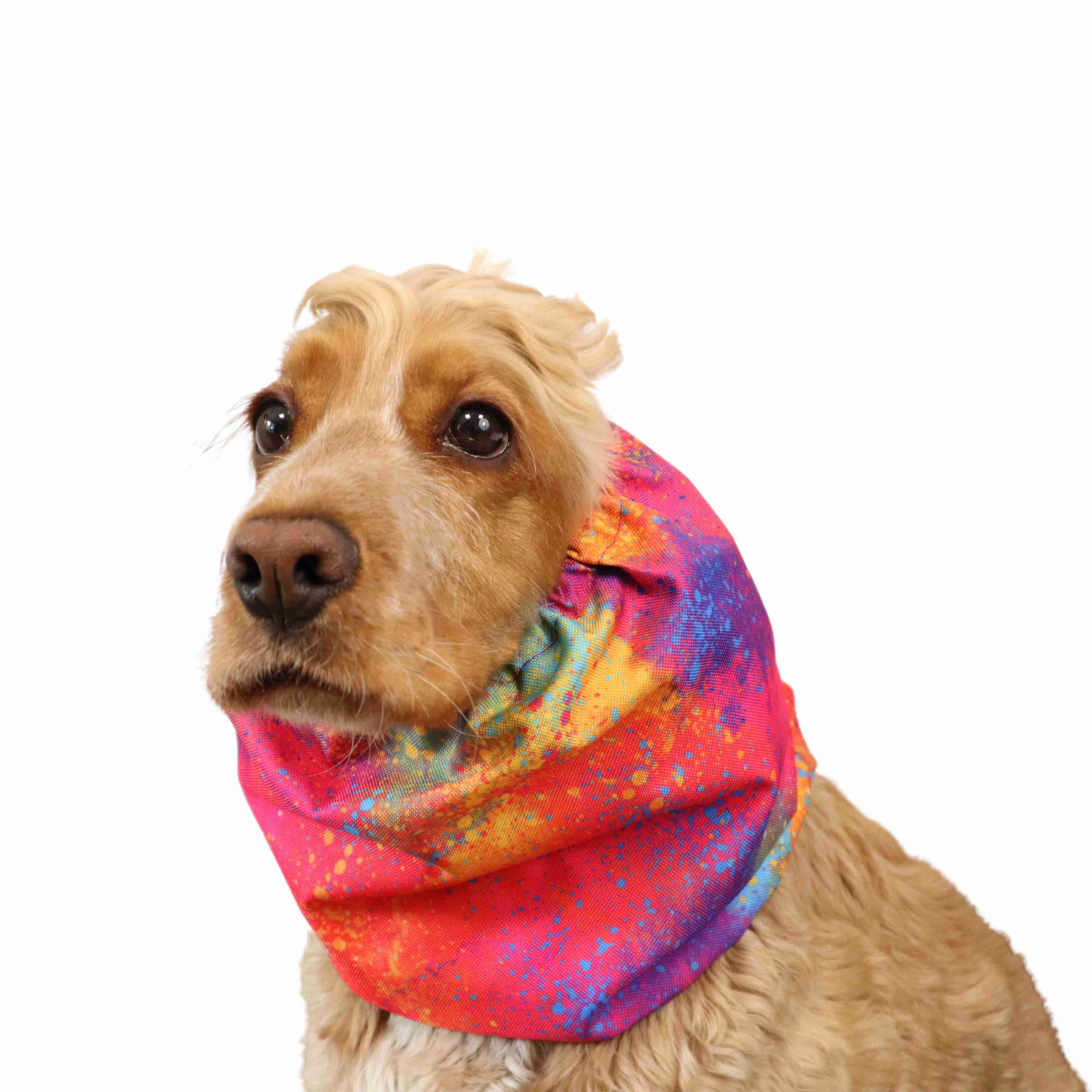 Waterproof Dog Snood | Crazy Paint