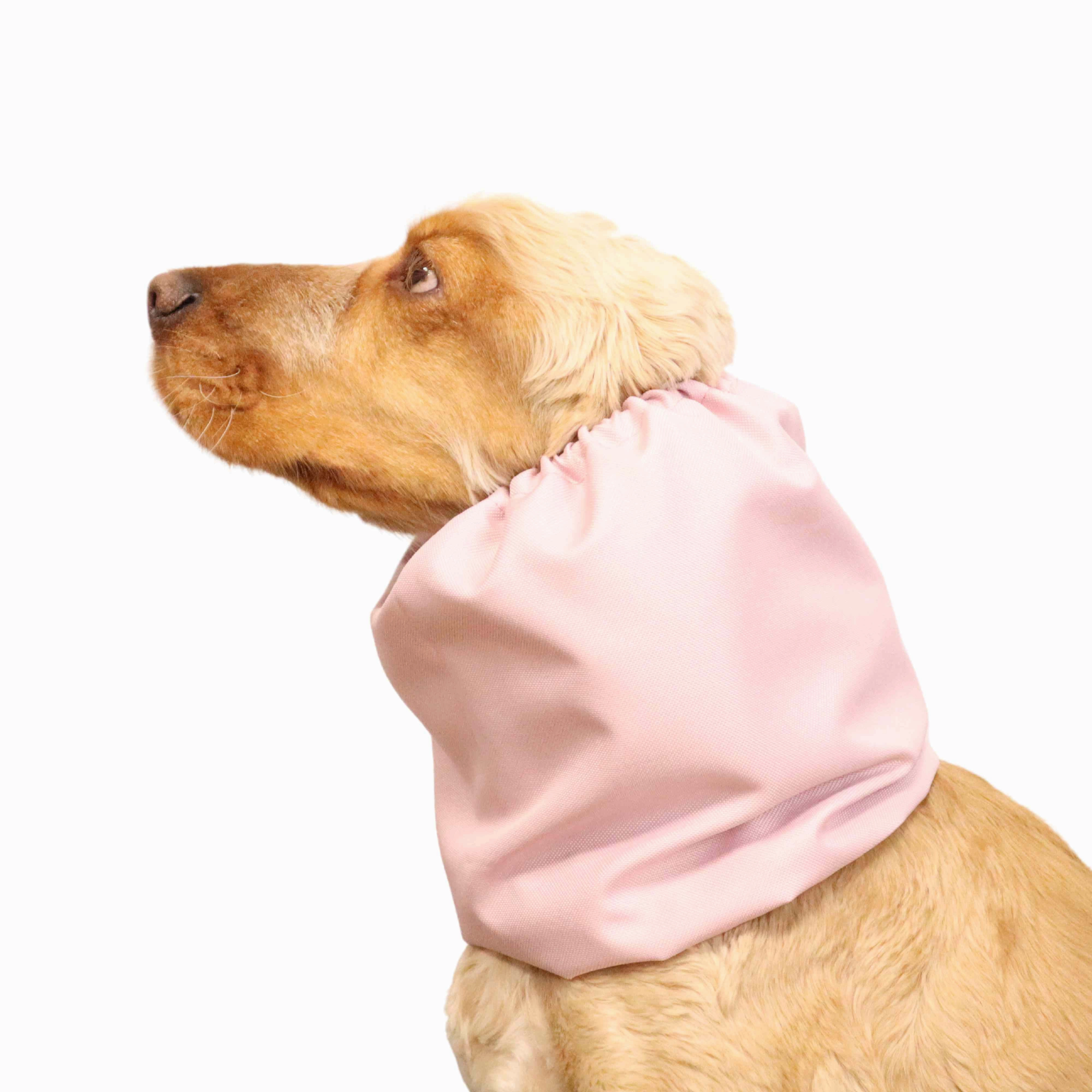 Waterproof Dog Snood | Cream Rose