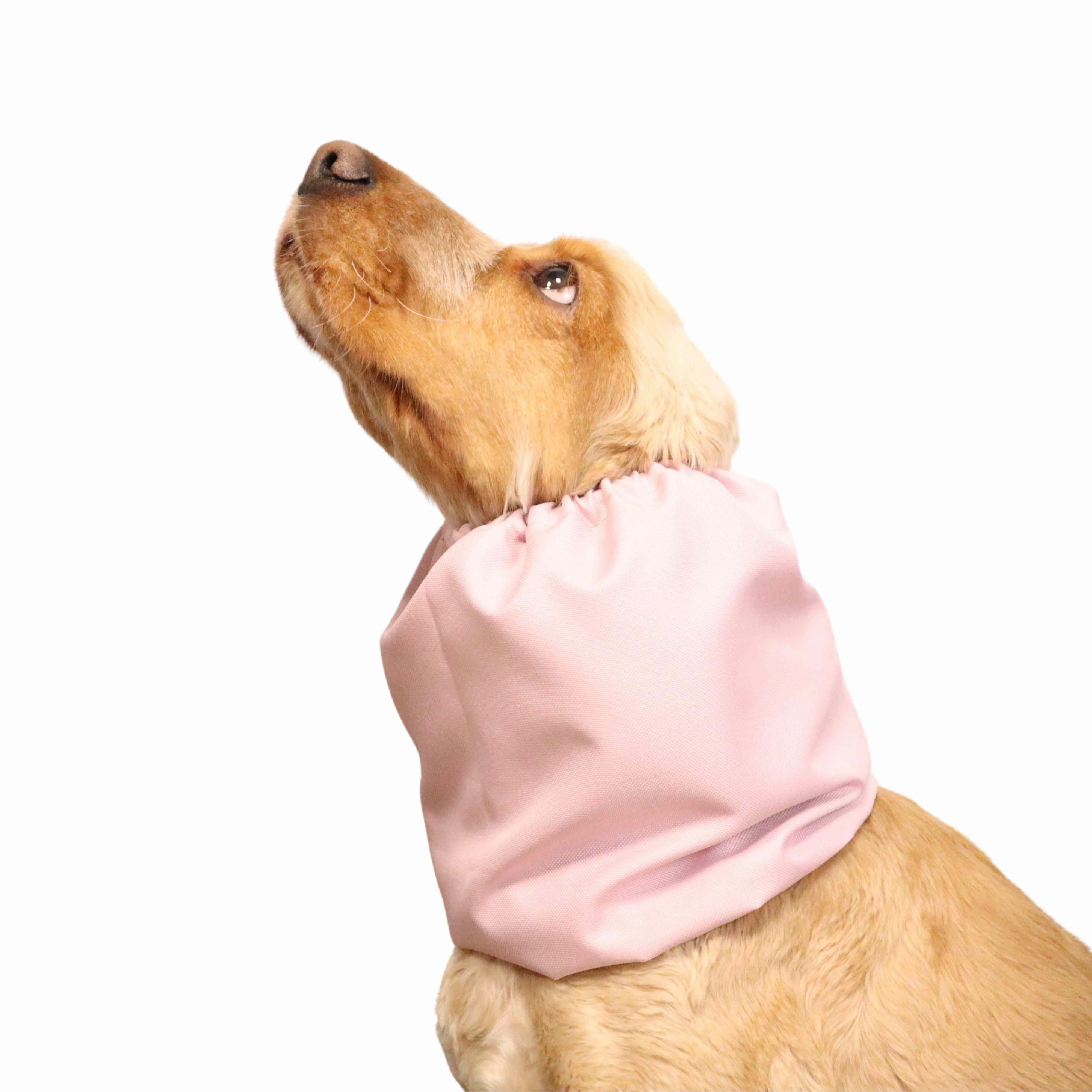 Waterproof Dog Snood | Cream Rose