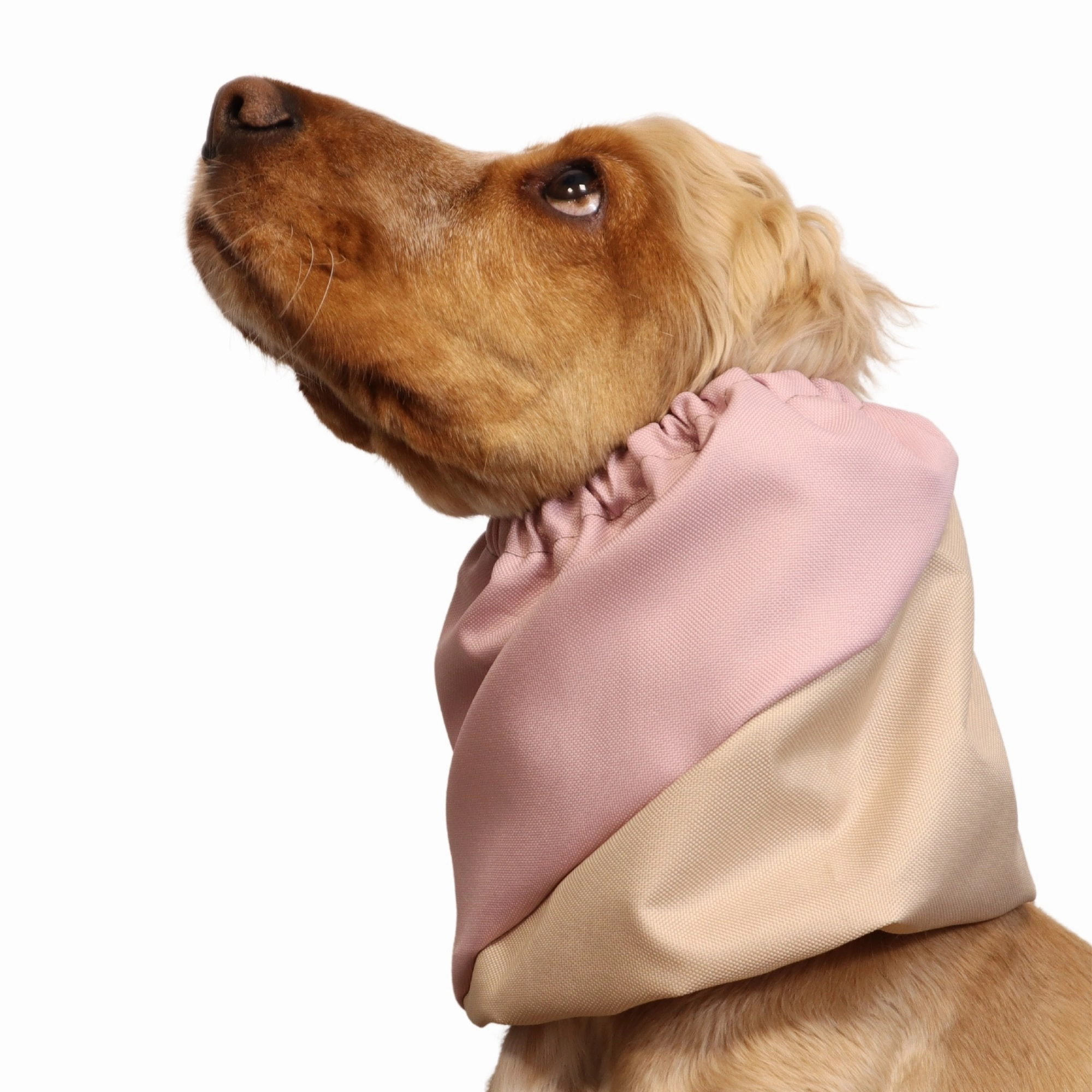 Waterproof Dog Snood | Cream-Rose