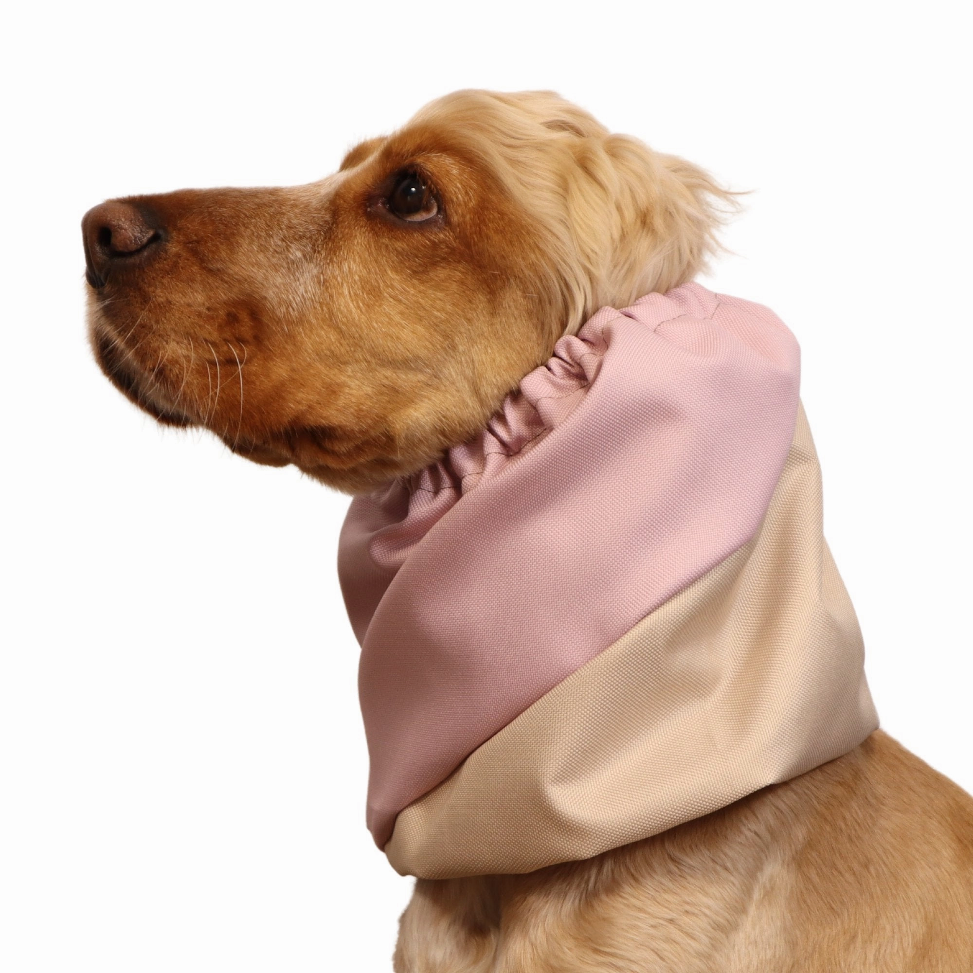 Waterproof Dog Snood | Cream-Rose