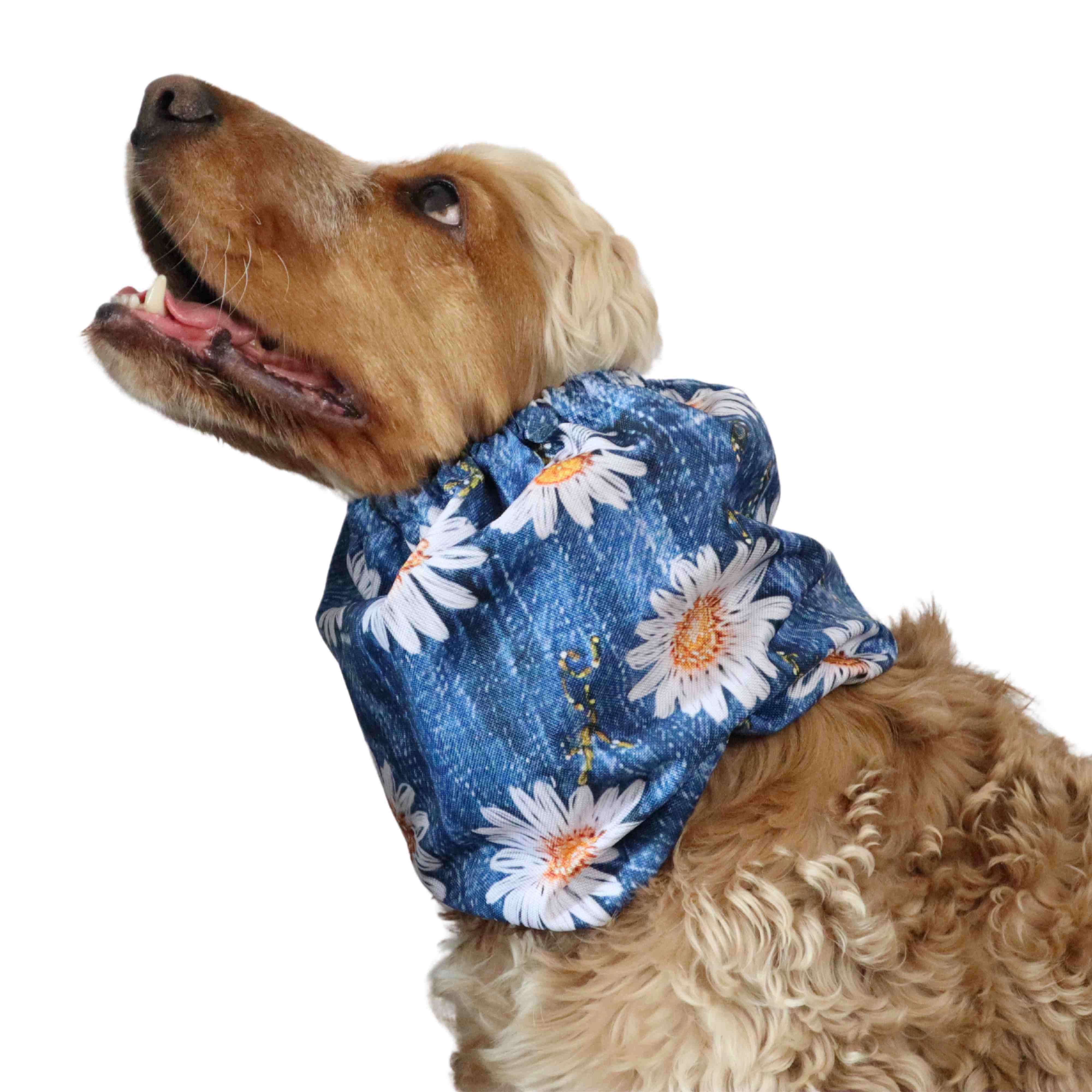 Waterproof Dog Snood | Daisy
