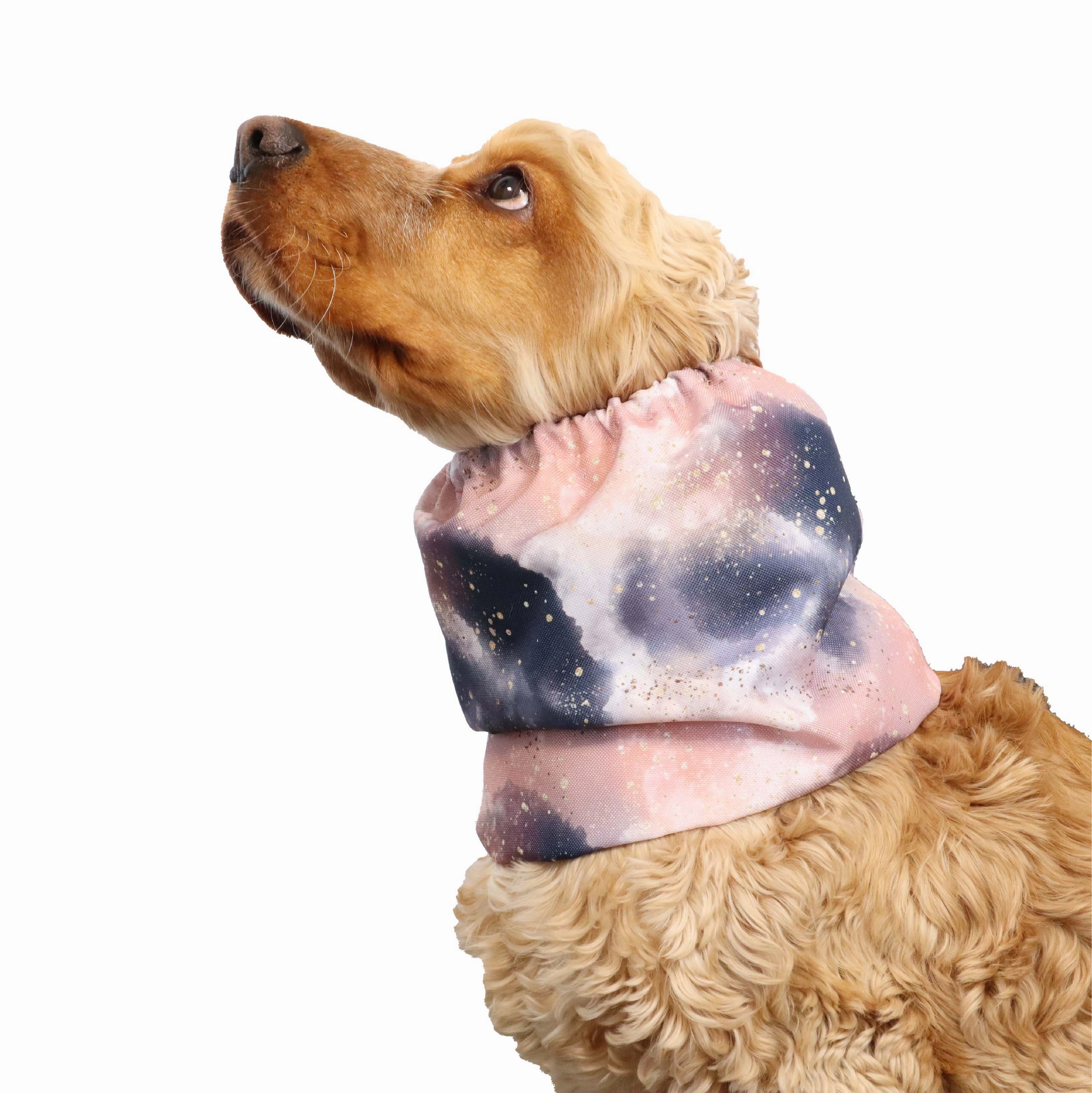 Waterproof Dog Snood | Enchanted Night
