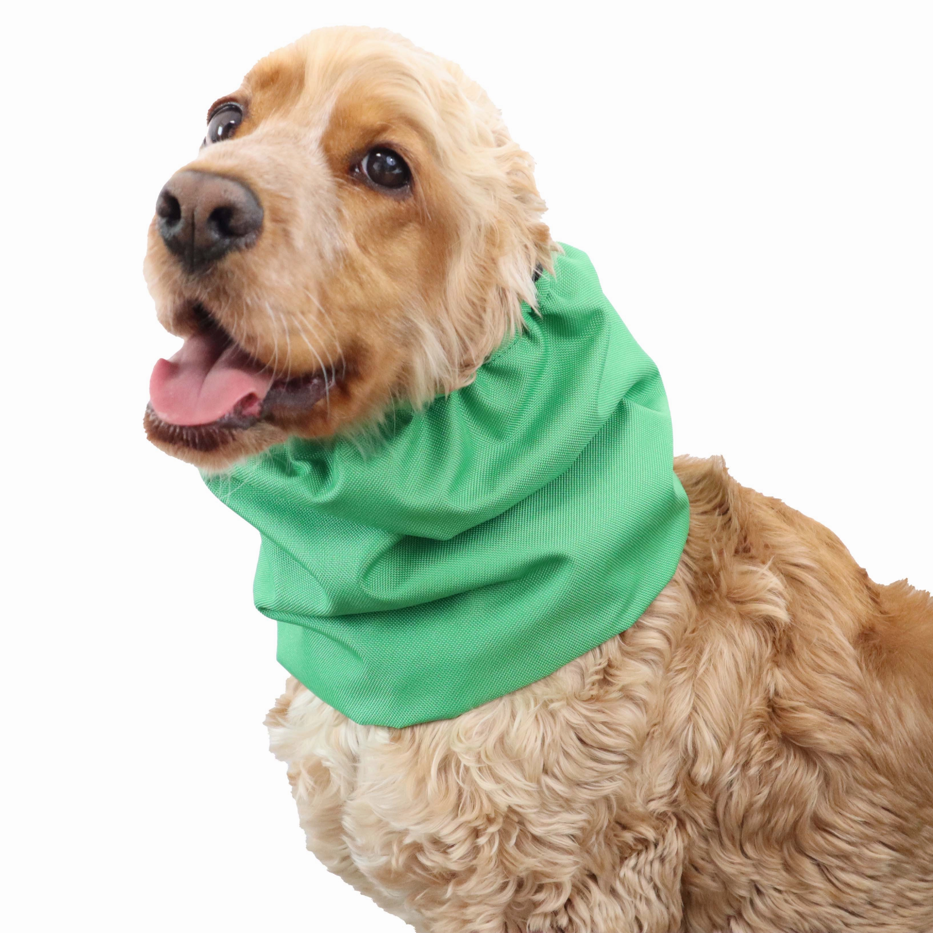 Waterproof Dog Snood | Grass Green