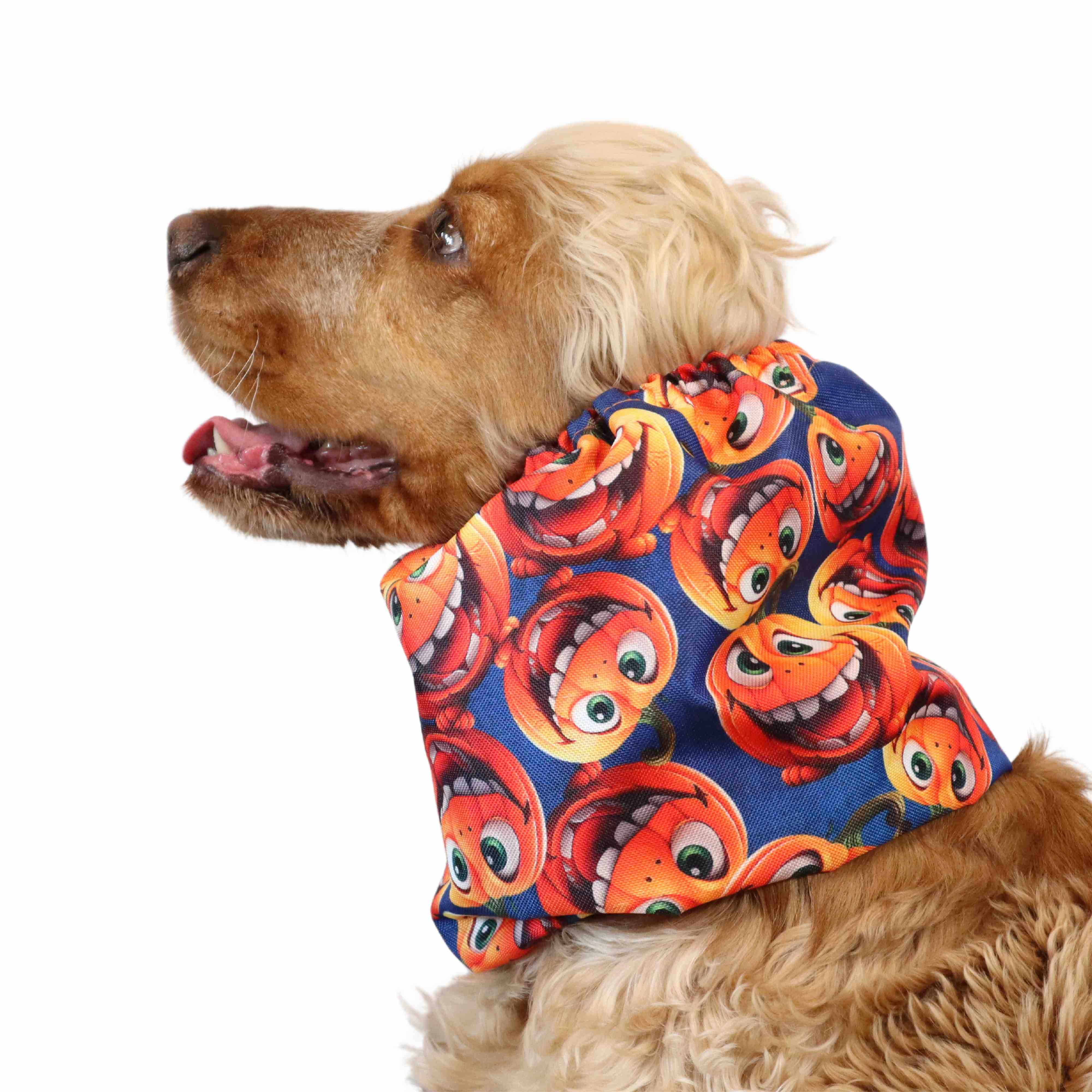 Waterproof Dog Snood | Happy Pumpkins
