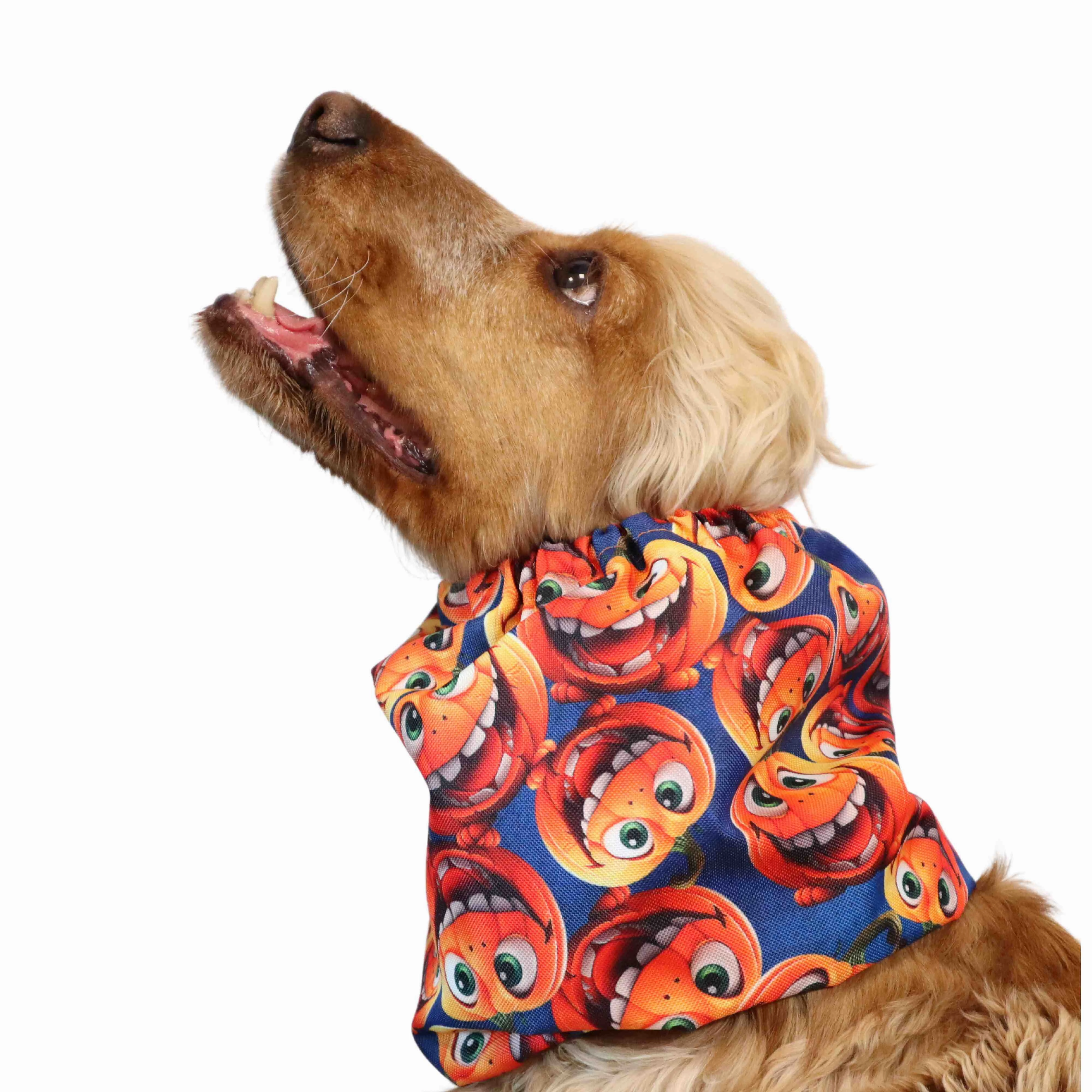 Waterproof Dog Snood | Happy Pumpkins