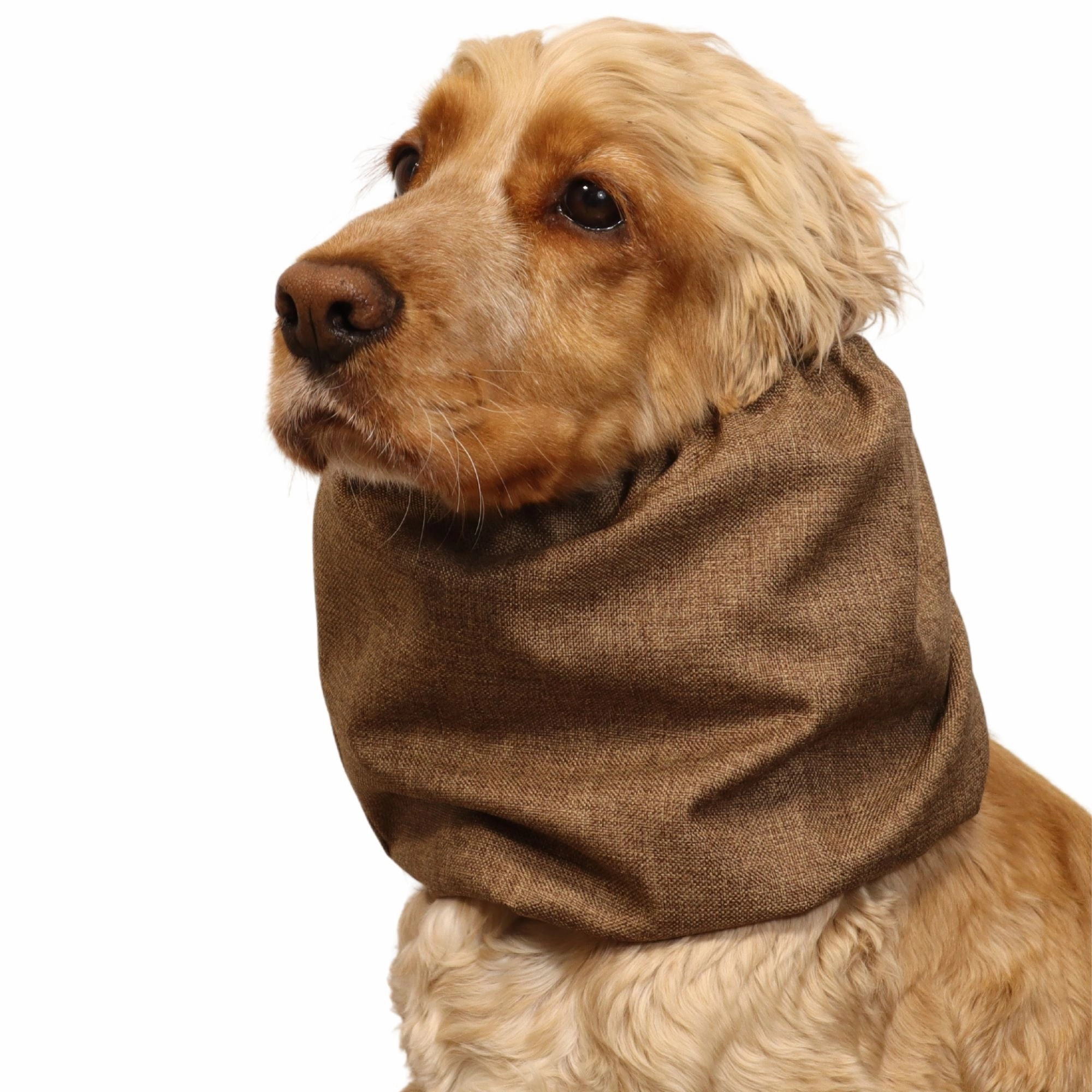 Waterproof Dog Snood | Hazelnut Brown