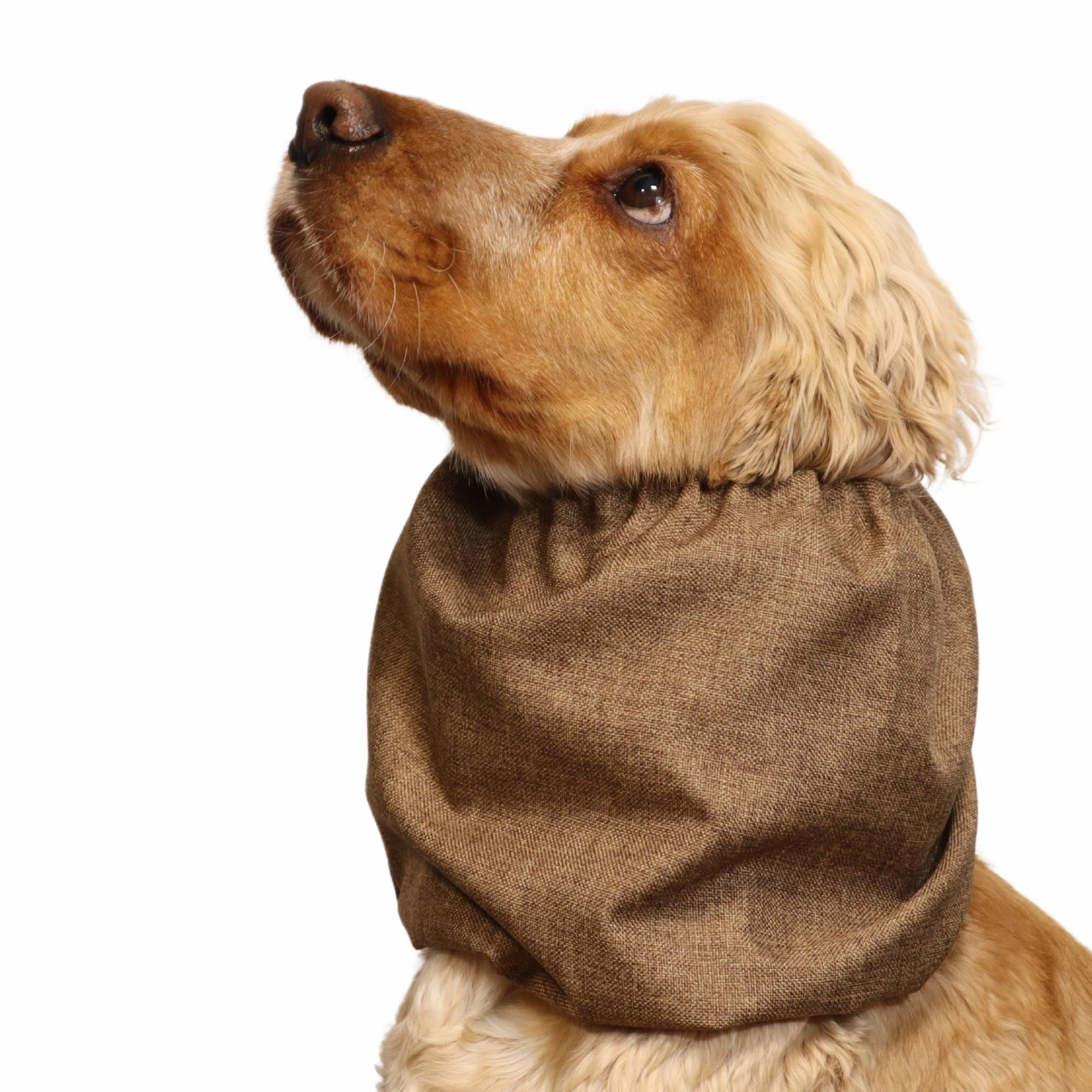 Waterproof Dog Snood | Hazelnut Brown