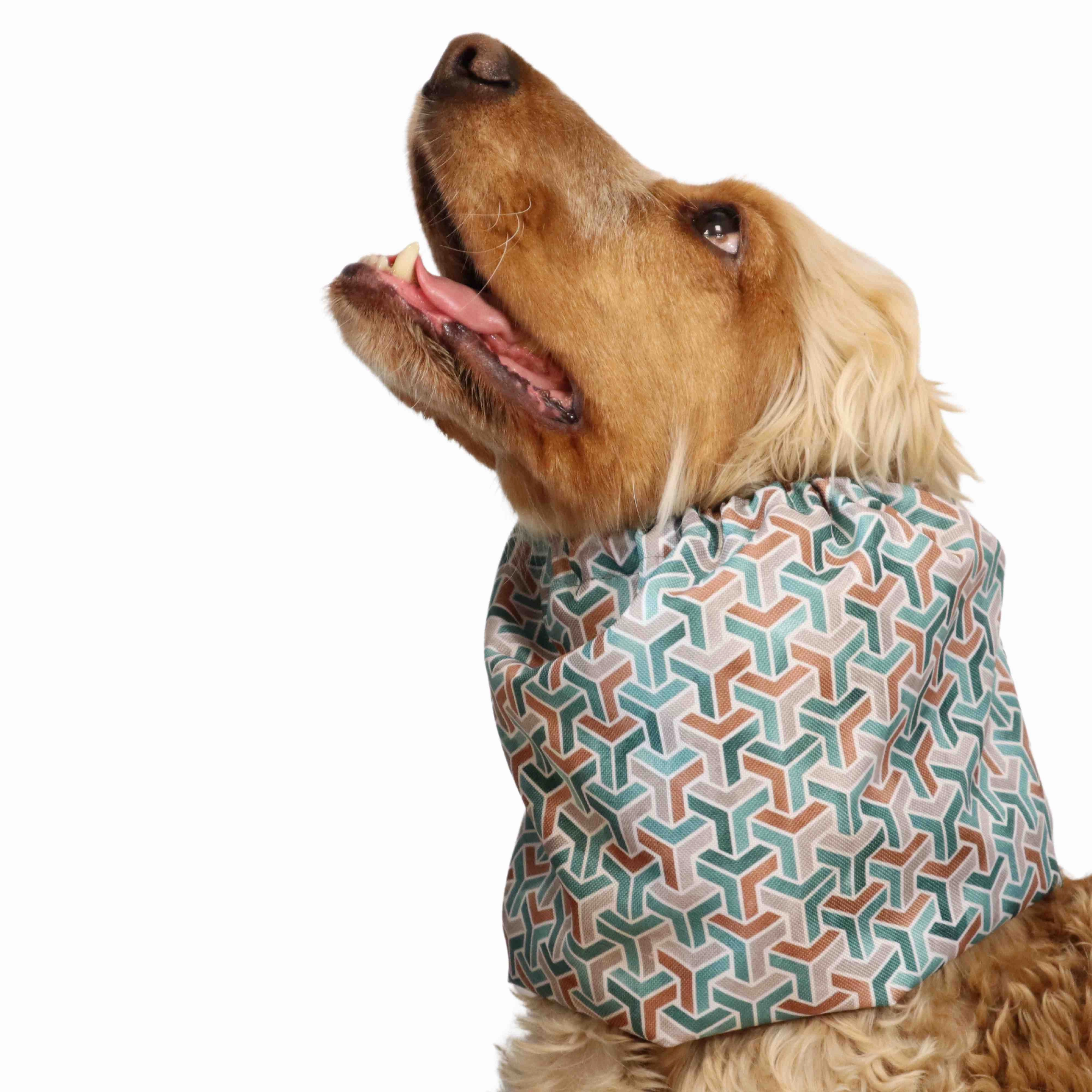 Waterproof Dog Snood | Ice Cubes