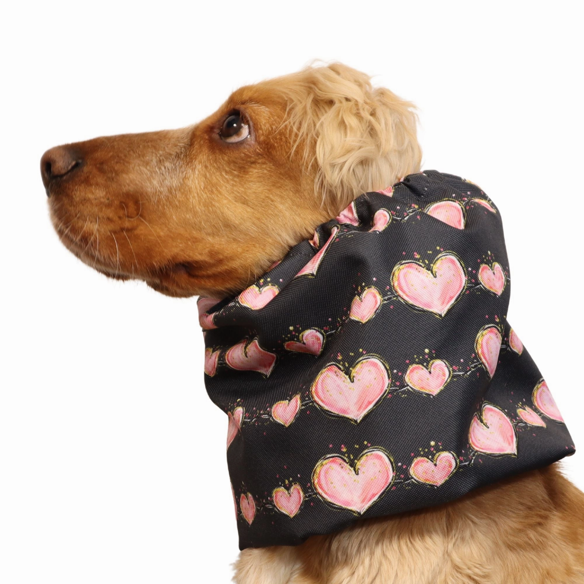 Waterproof Dog Snood | In Love