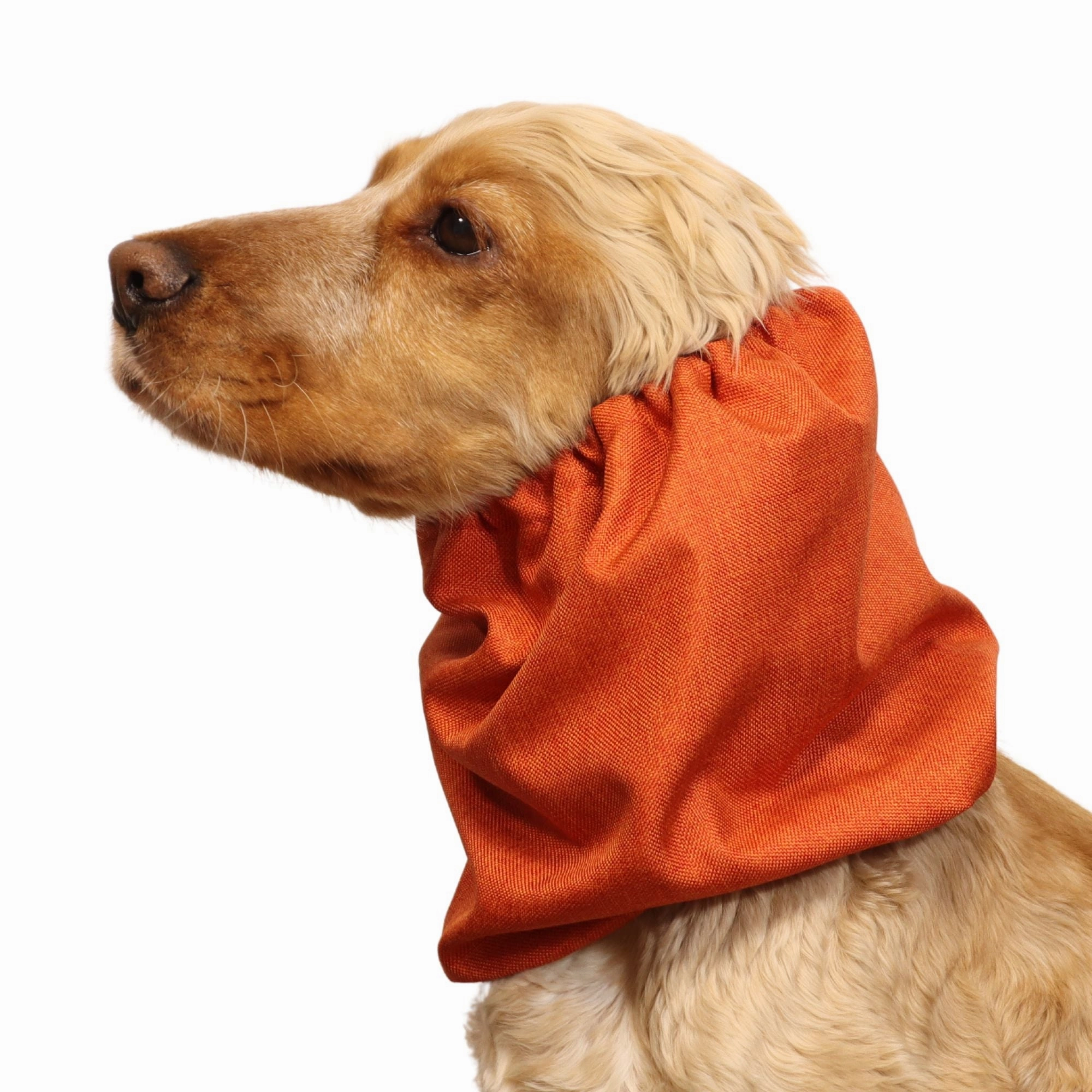 Waterproof Dog Snood | Jeans Burnt Orange