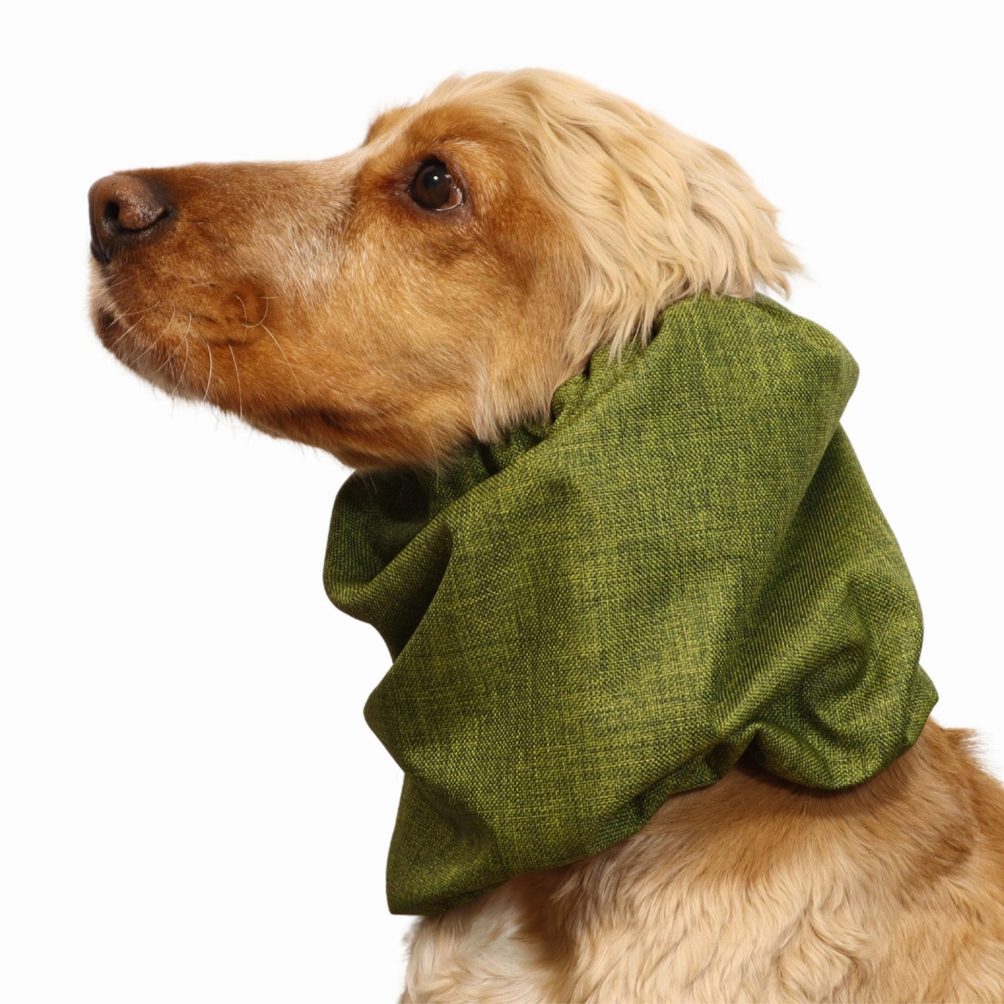 Waterproof Dog Snood | Jeans Green