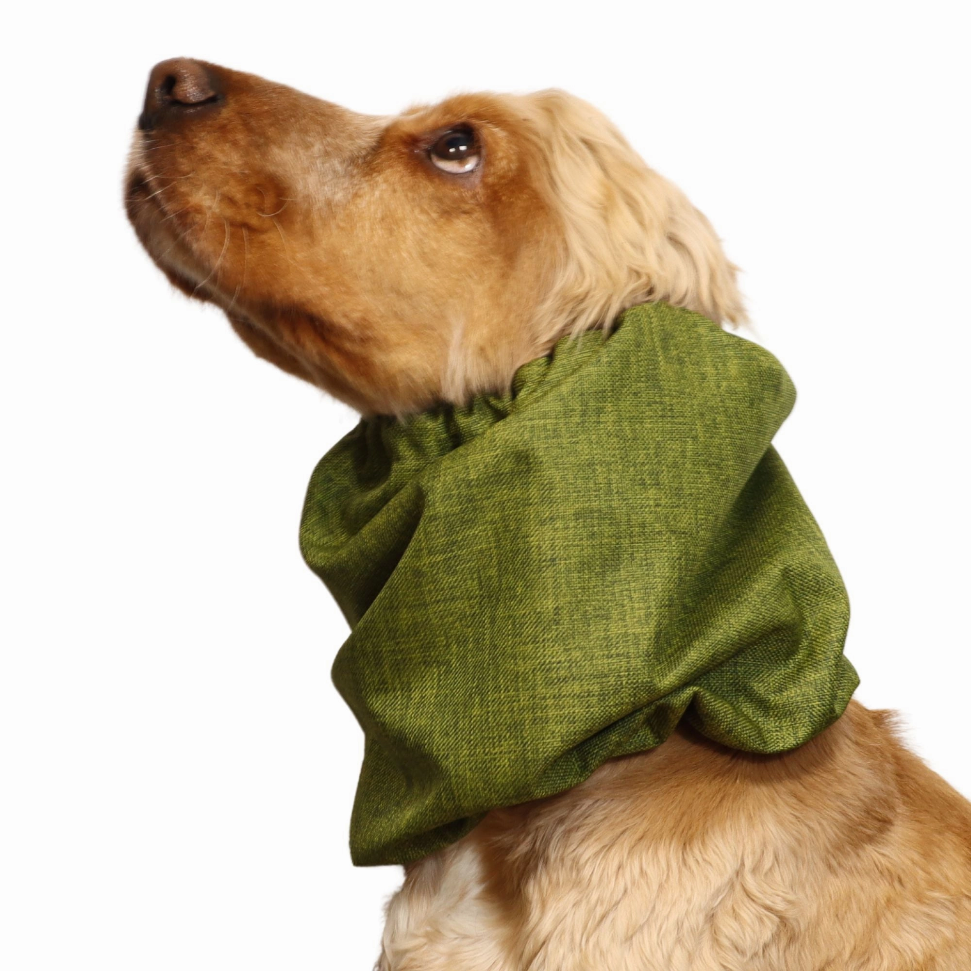 Waterproof Dog Snood | Jeans Green