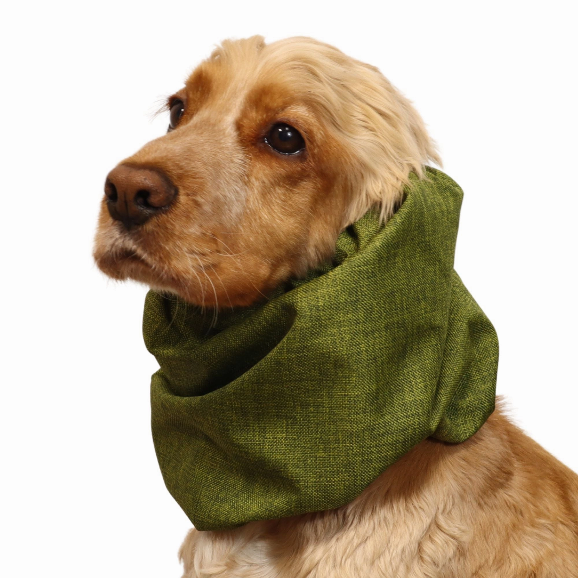 Waterproof Dog Snood | Jeans Green