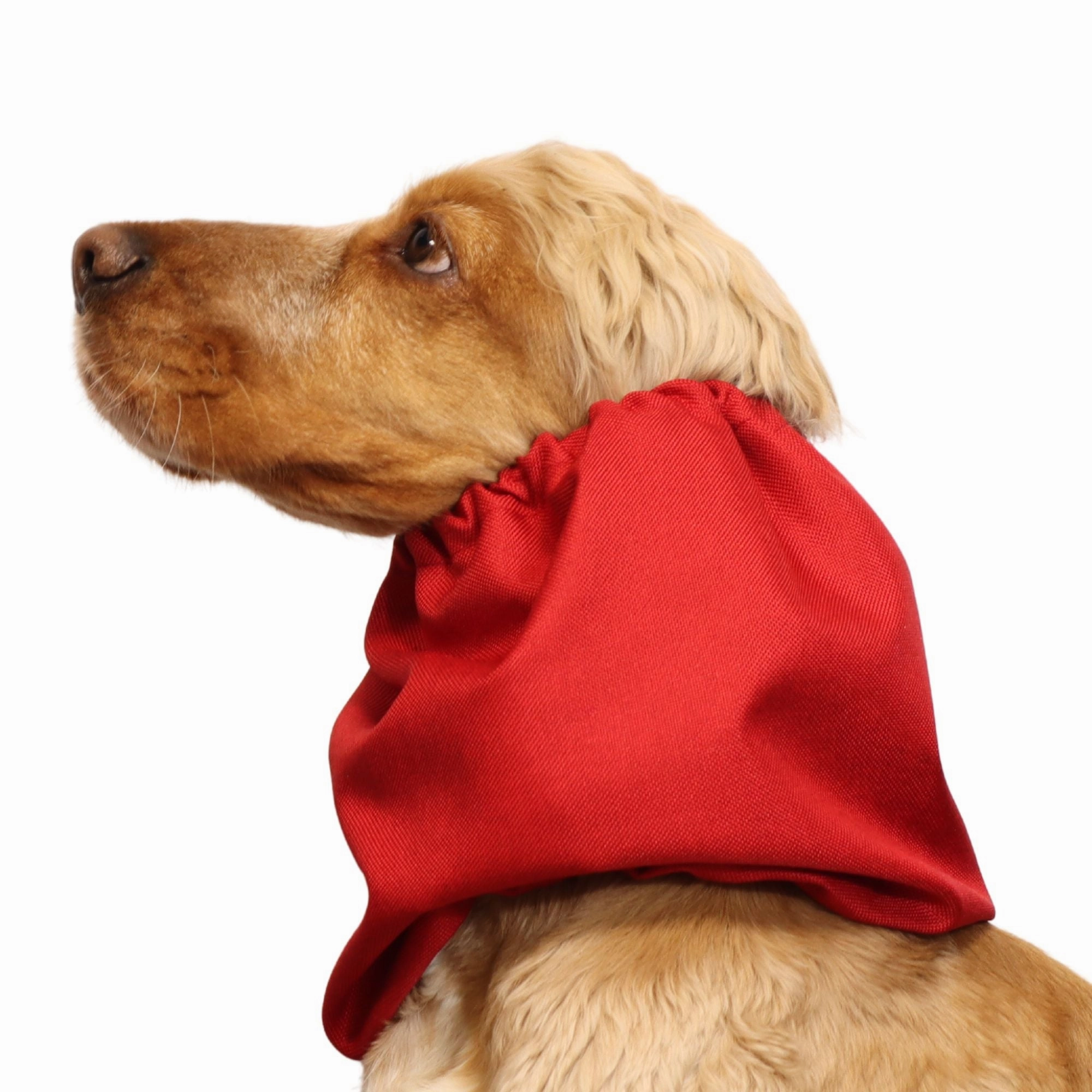Waterproof Dog Snood | Jeans Red