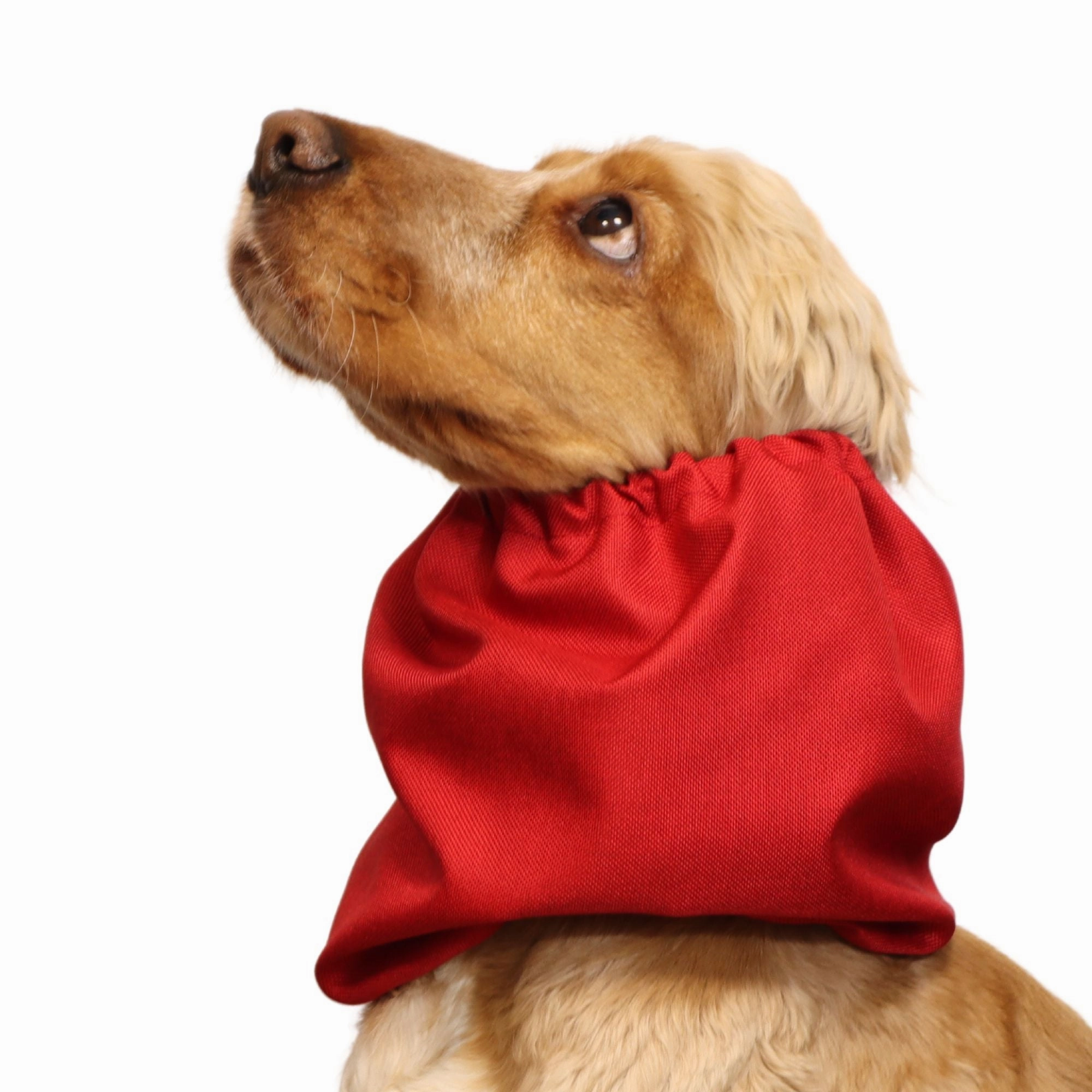 Waterproof Dog Snood | Jeans Red