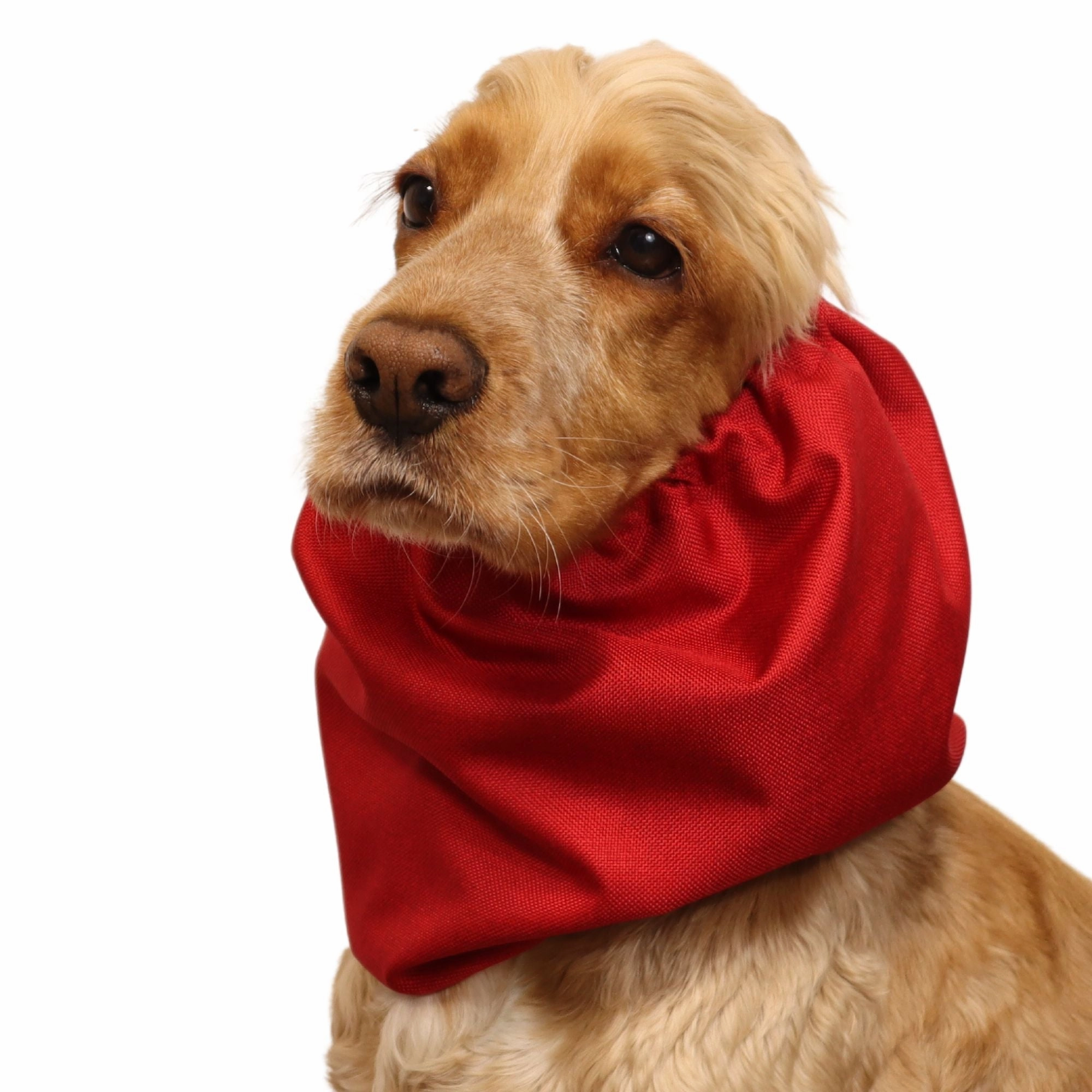 Waterproof Dog Snood | Jeans Red