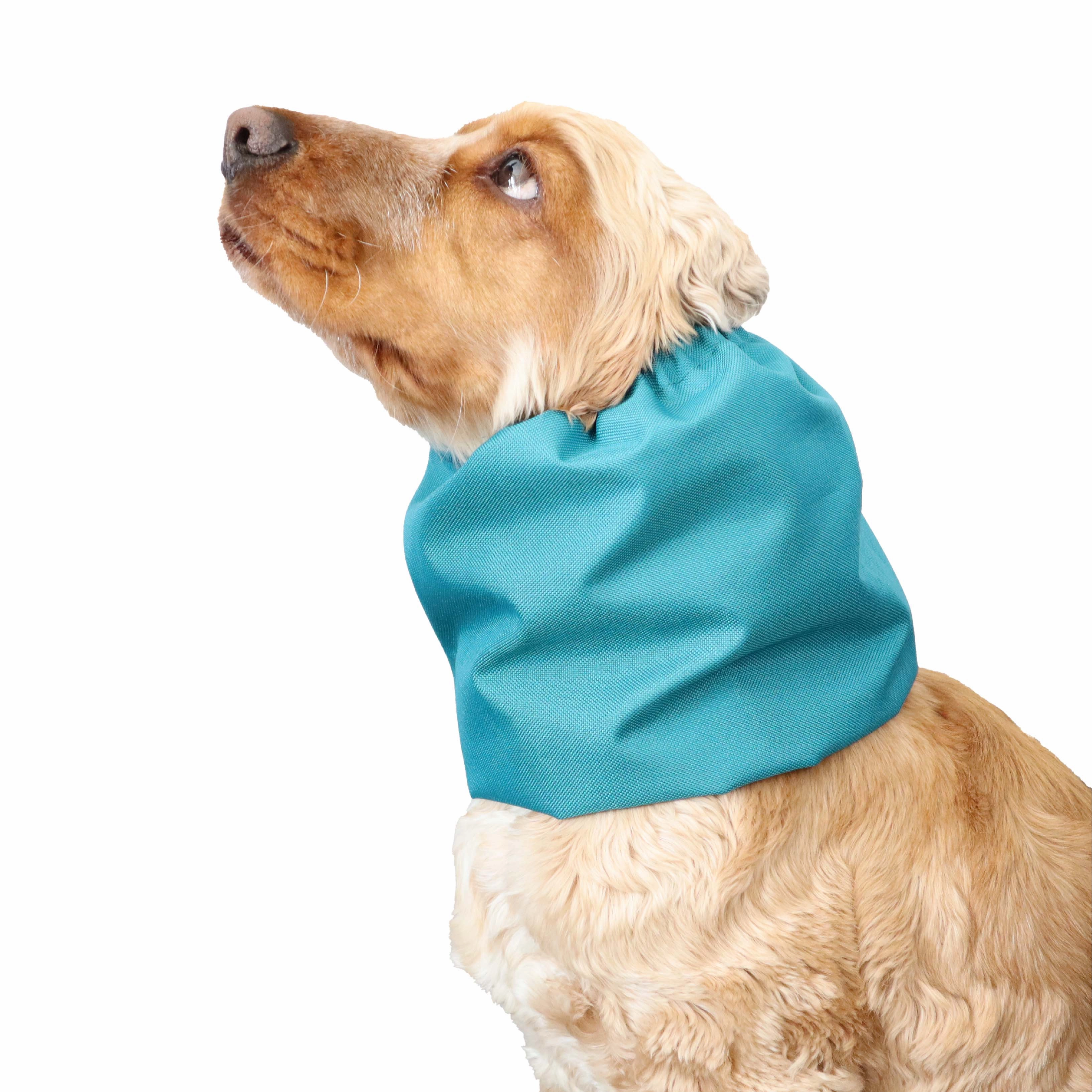 Waterproof Dog Snood | Laguna Blue