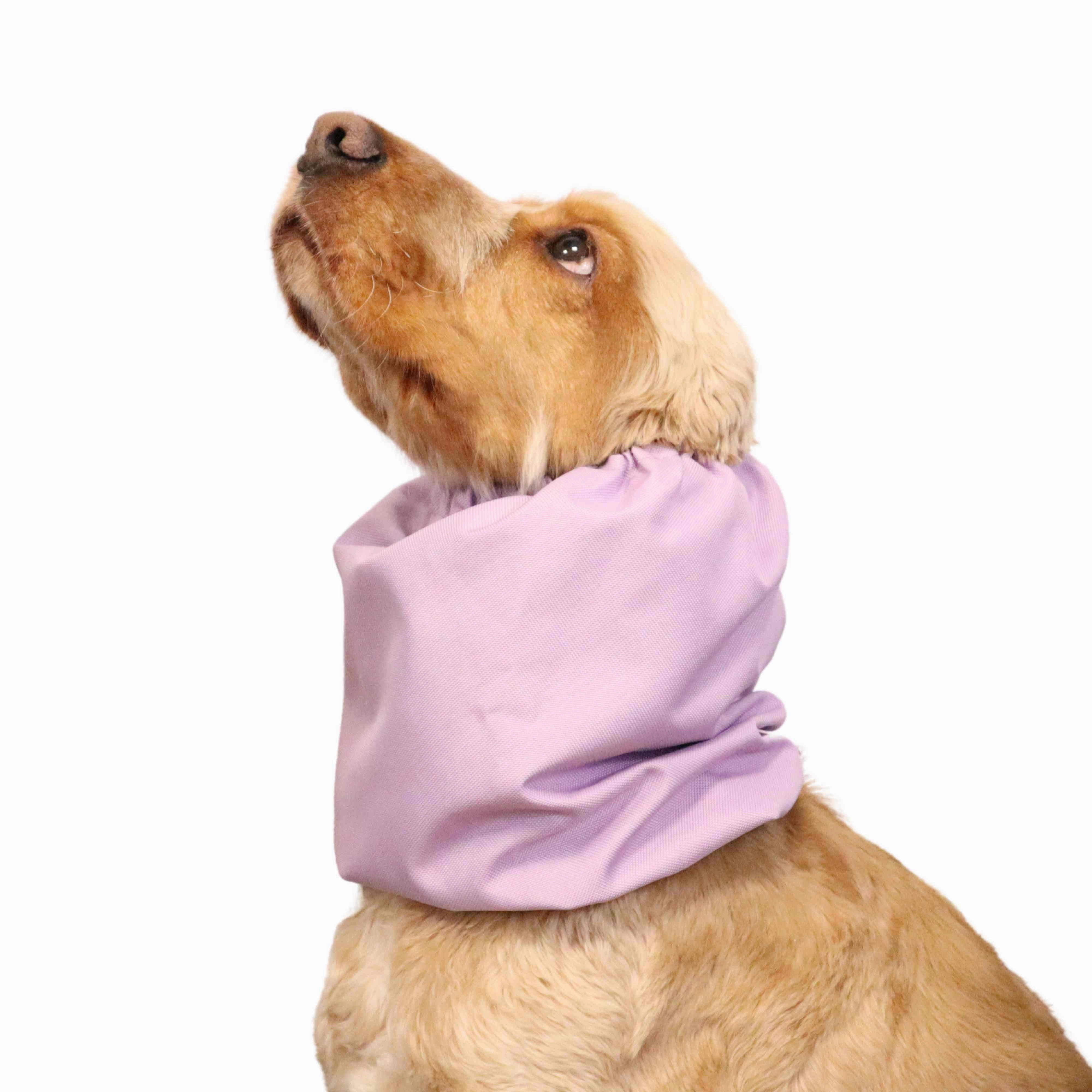 Waterproof Dog Snood | Lavender