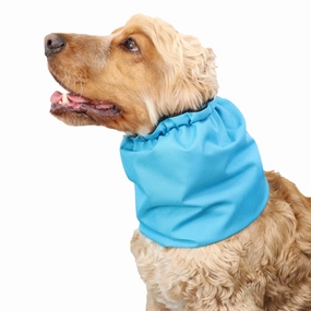 Waterproof Dog Snood | Light Blue