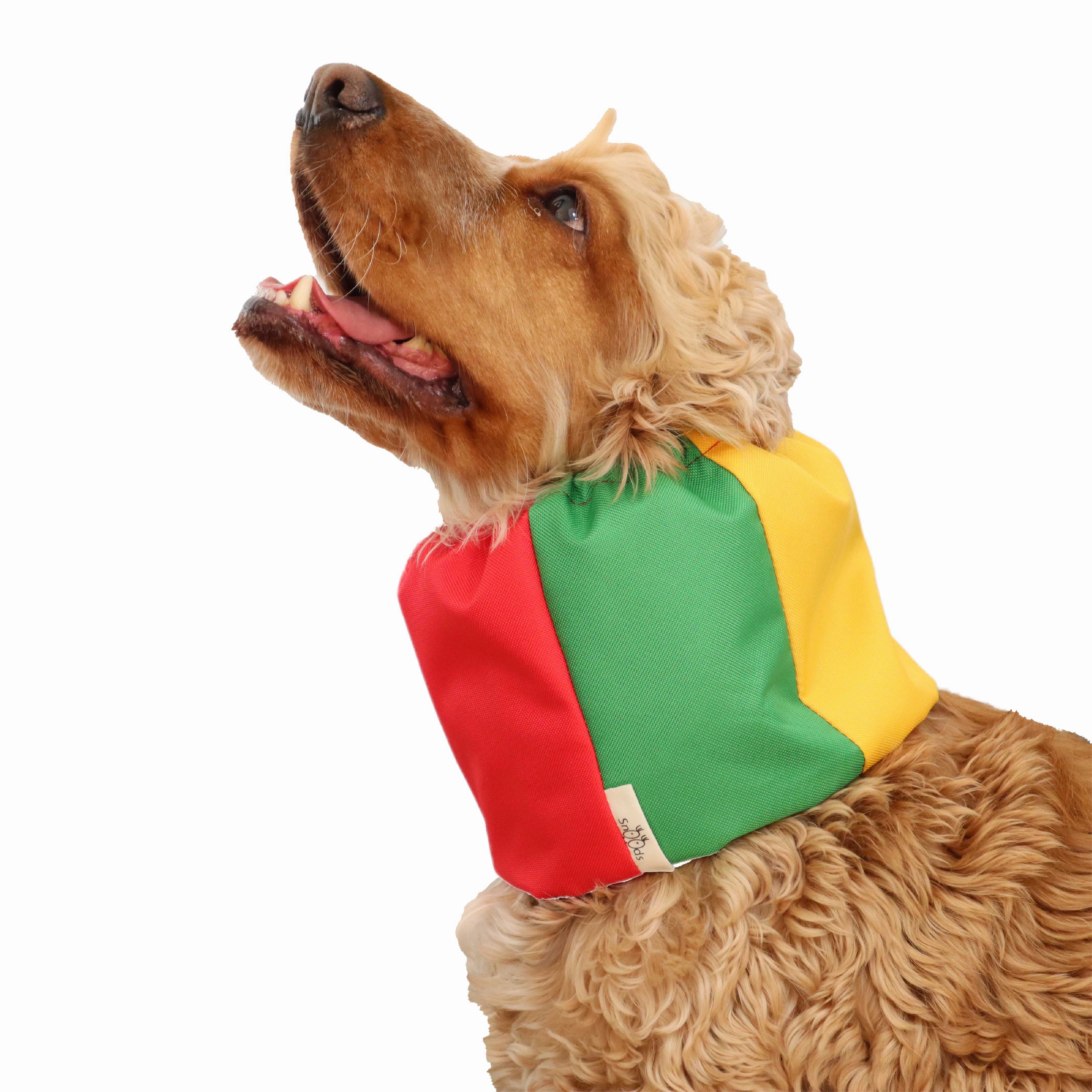 Waterproof Dog Snood | Lithuanian Flag