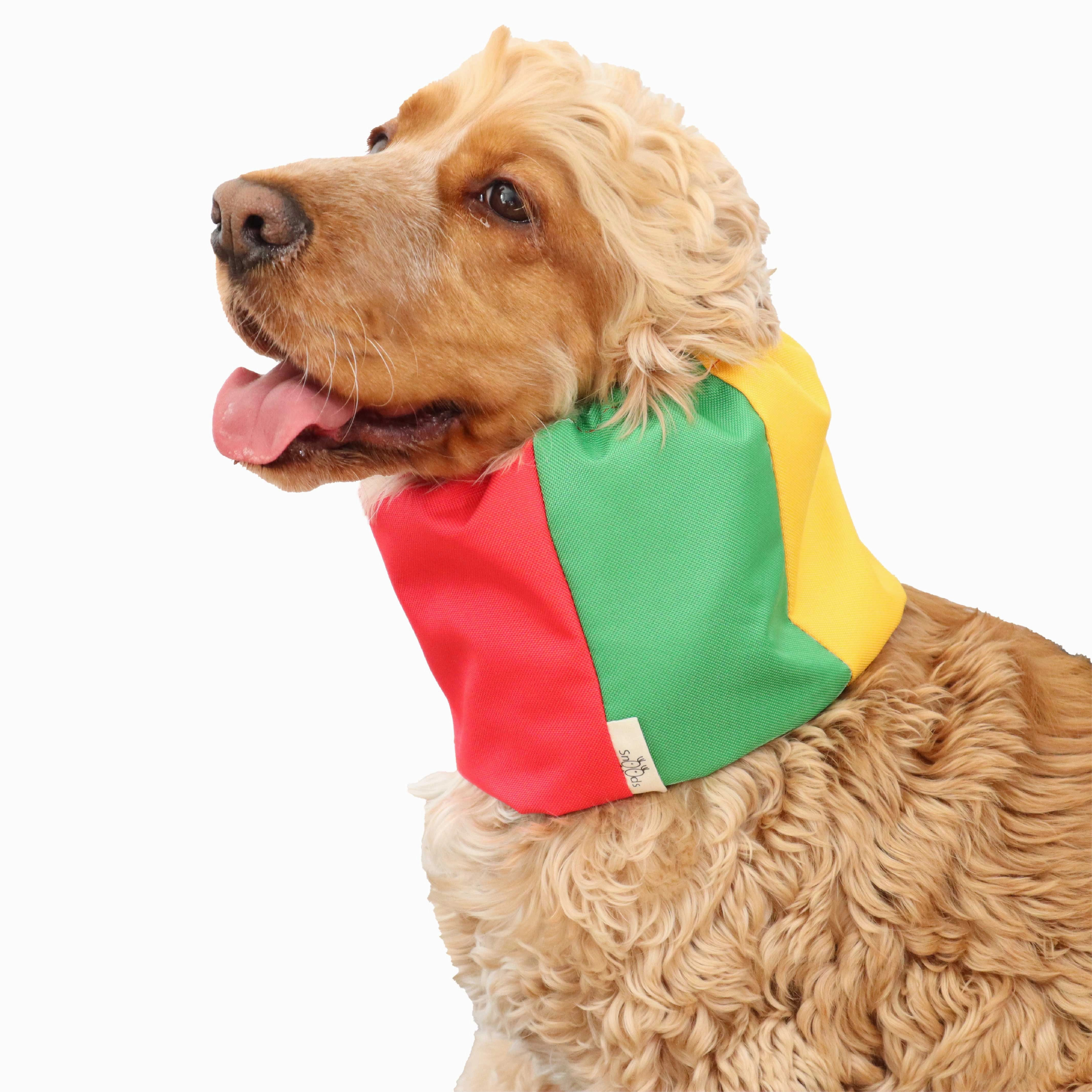 Waterproof Dog Snood | Lithuanian Flag