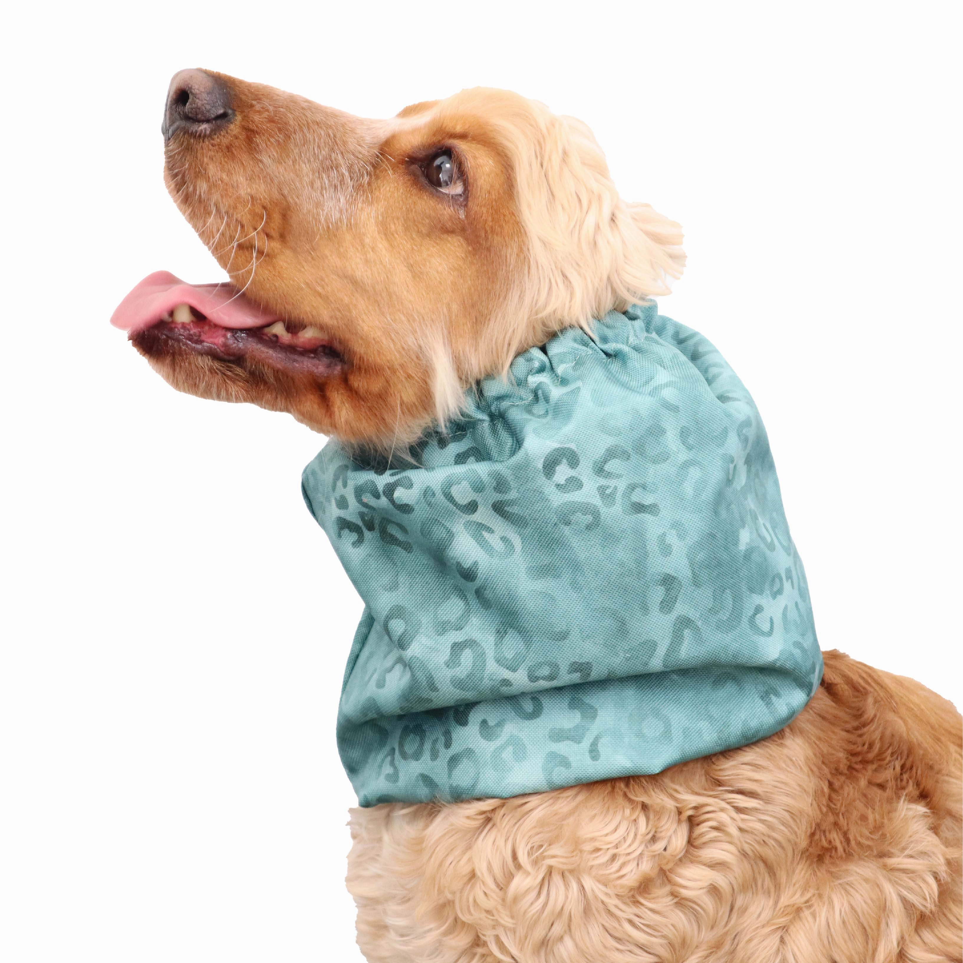 Waterproof Dog Snood | Mint Cheetah