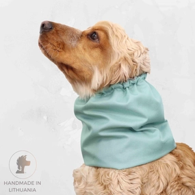 Waterproof Dog Snood | Mint Green