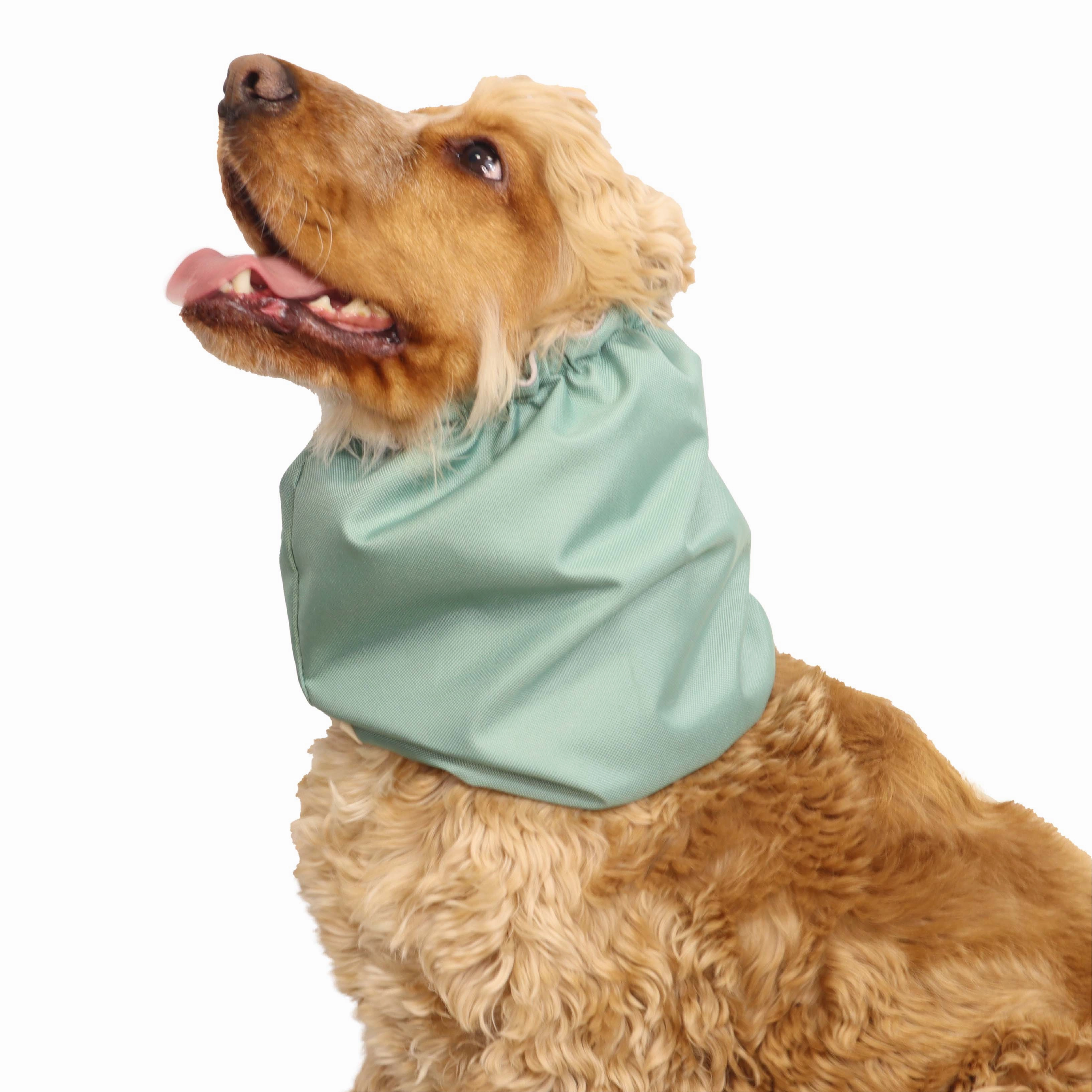 Waterproof Dog Snood | Mint Green
