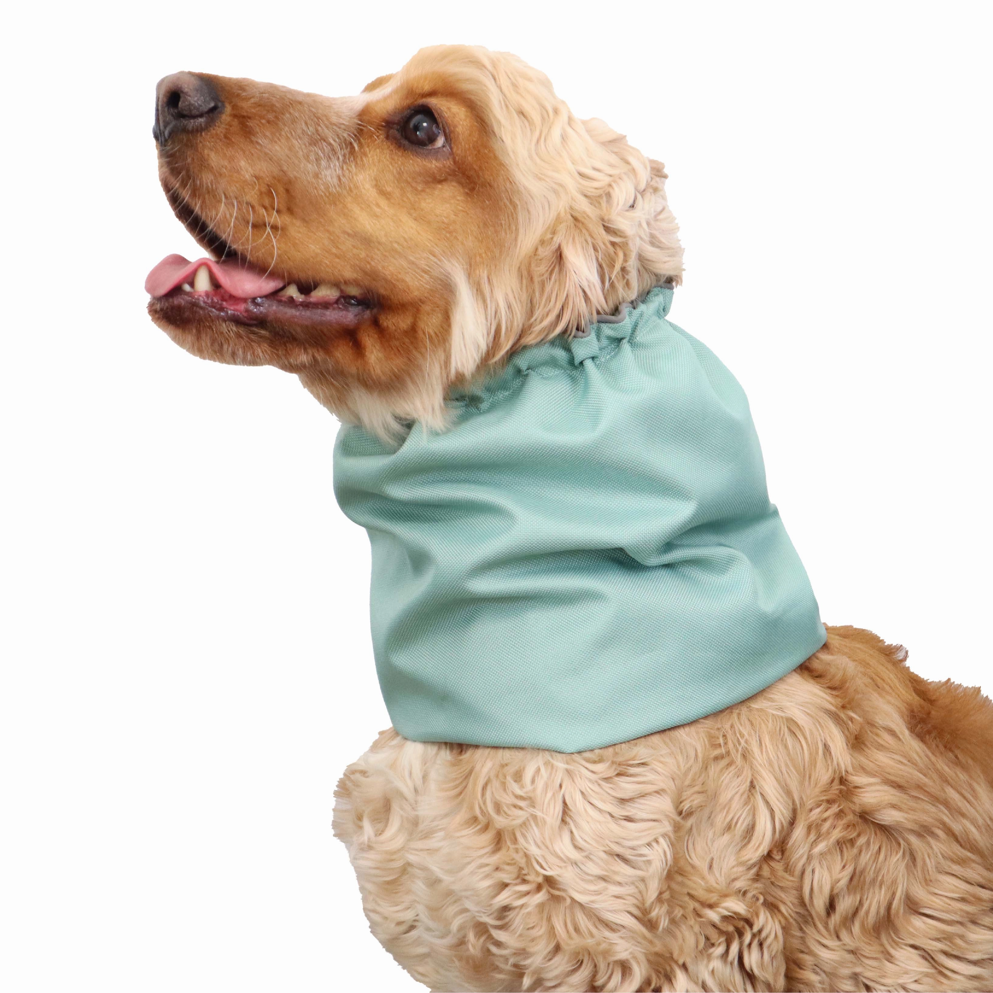 Waterproof Dog Snood | Mint Green
