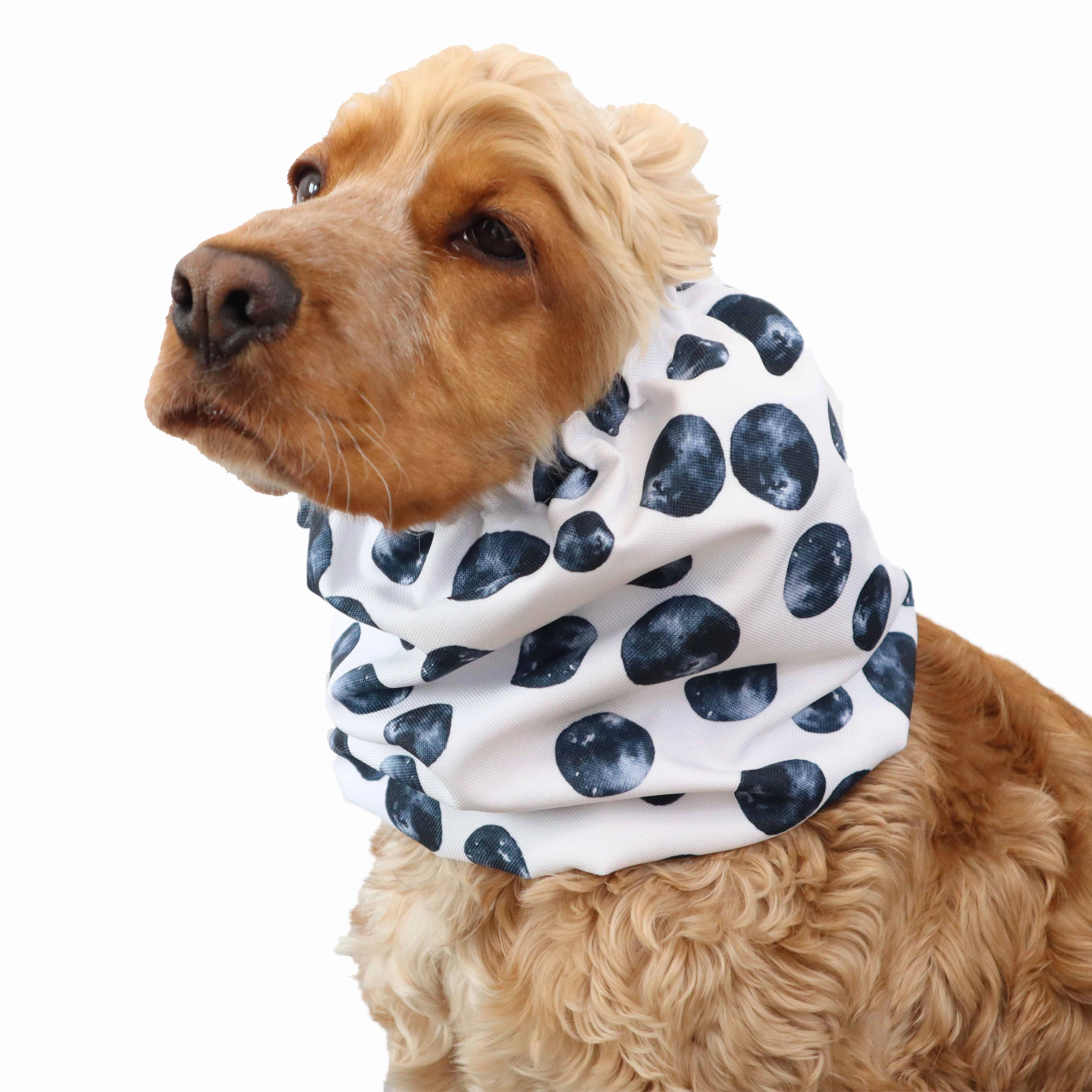 Waterproof Dog Snood | Moon Walk