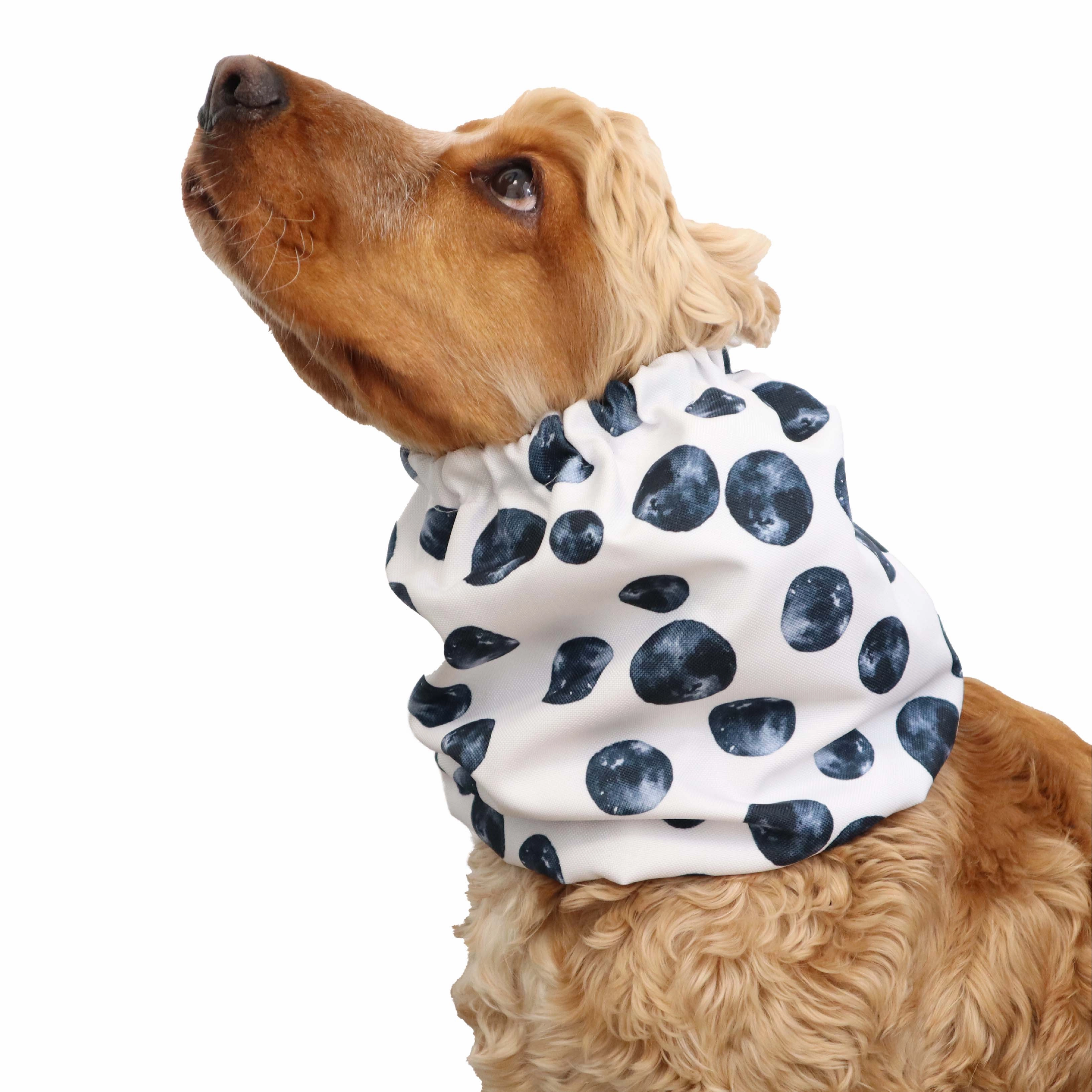 Waterproof Dog Snood | Moon Walk