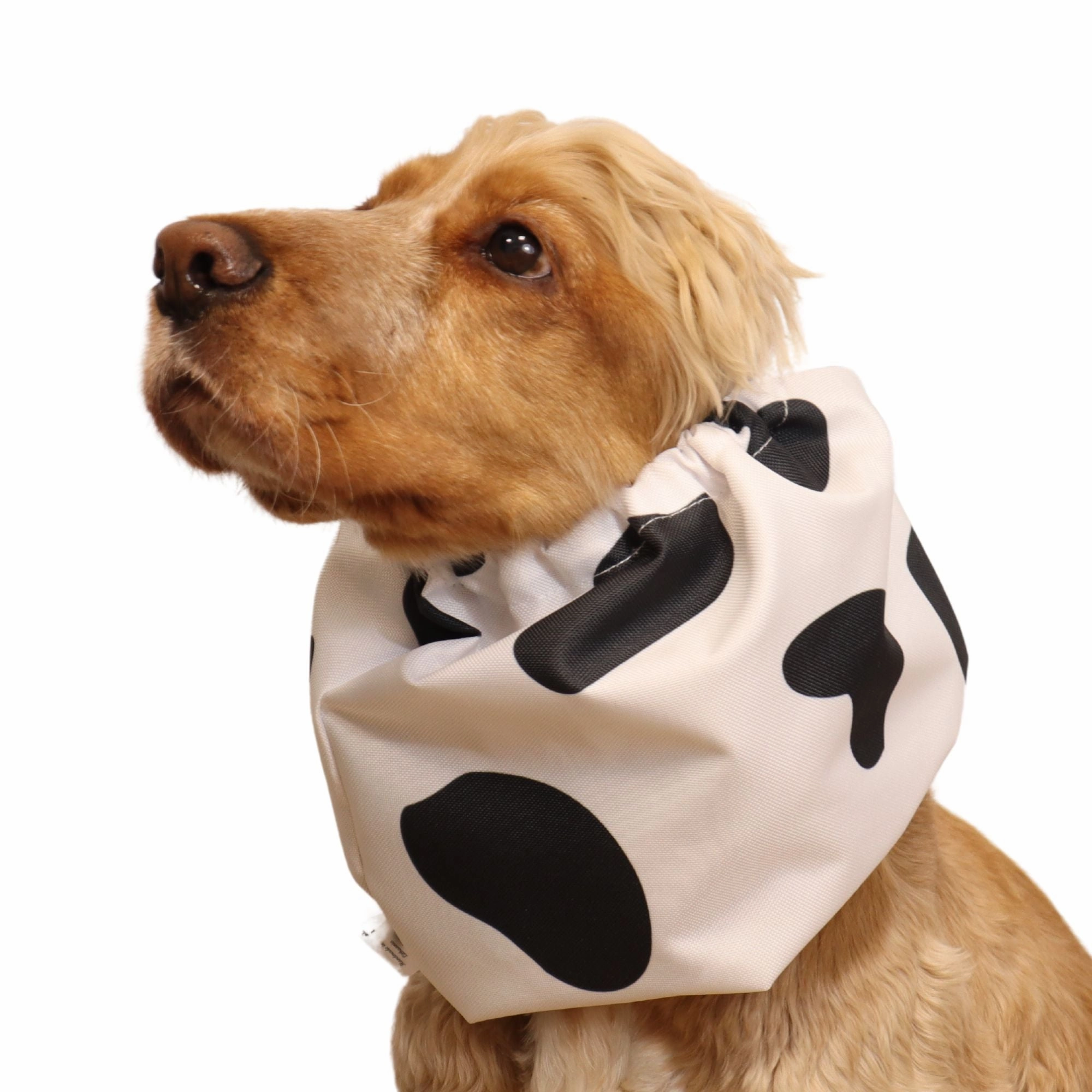 Waterproof Dog Snood | MOOOOOO