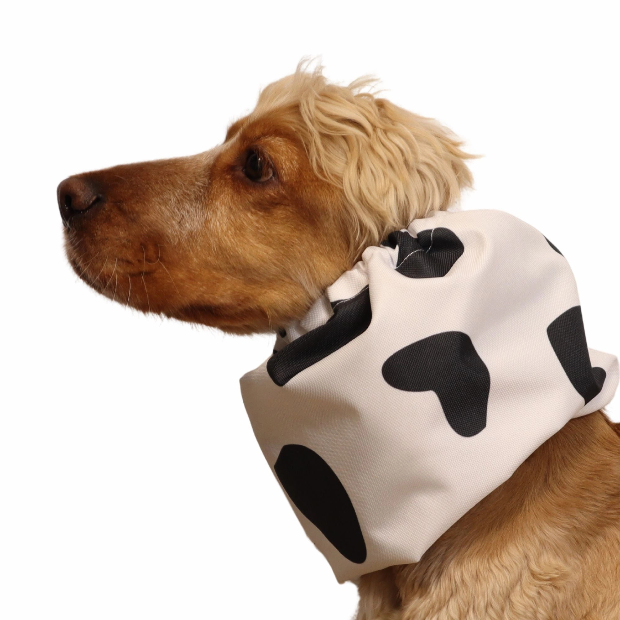 Waterproof Dog Snood | MOOOOOO
