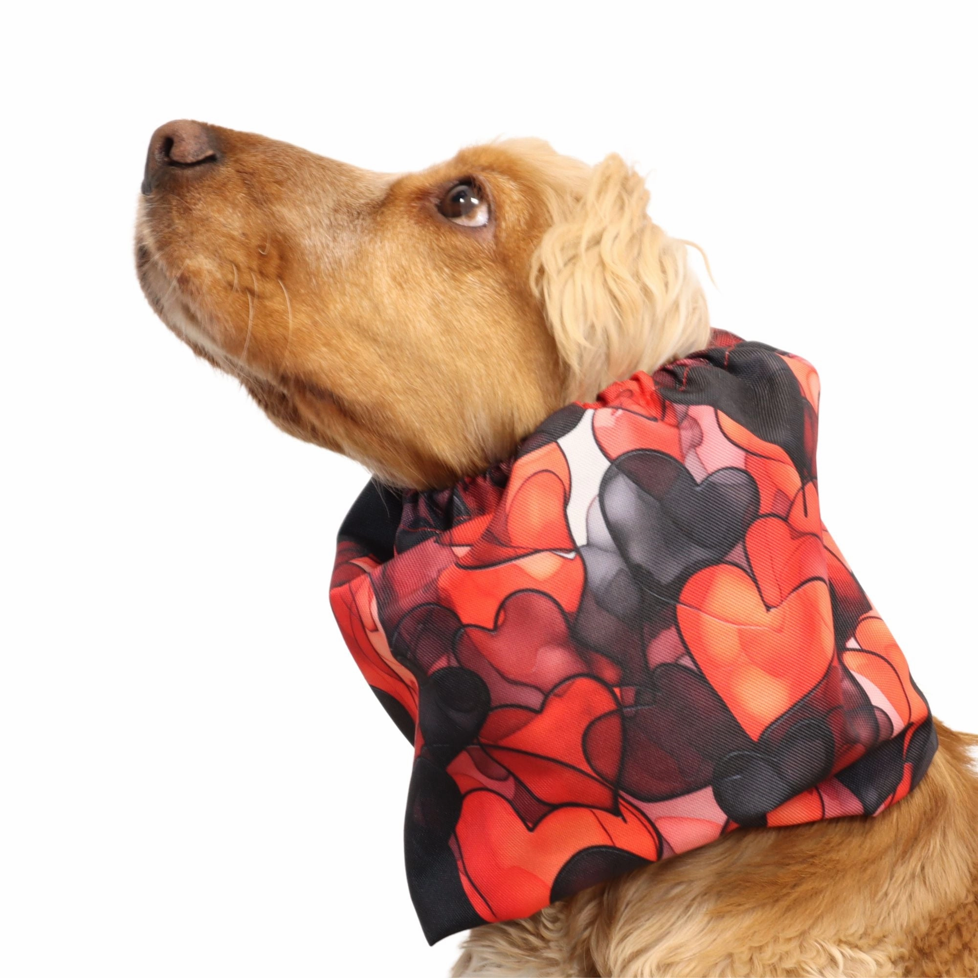 Waterproof Dog Snood | My Valentine