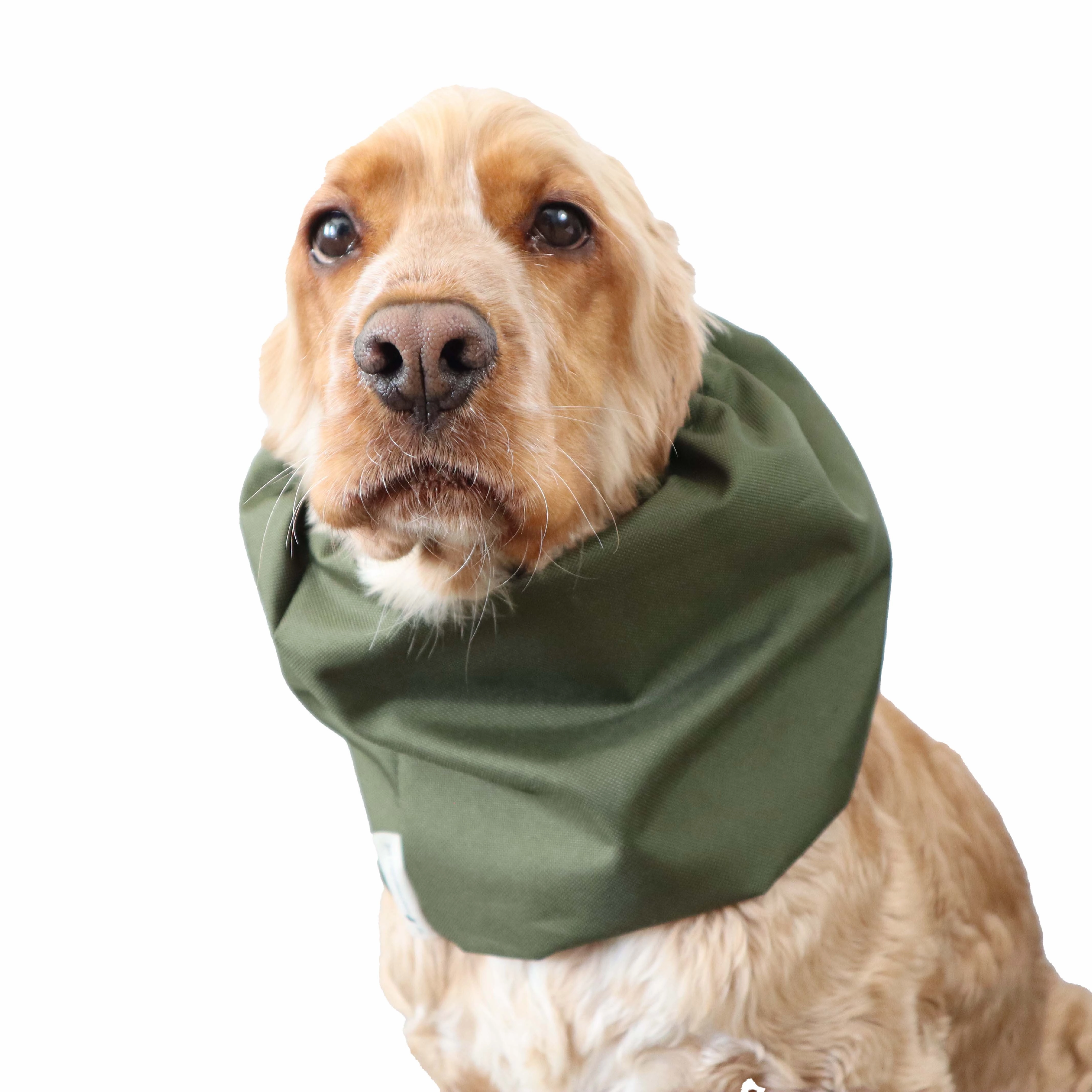 Waterproof Dog Snood | Olive Green