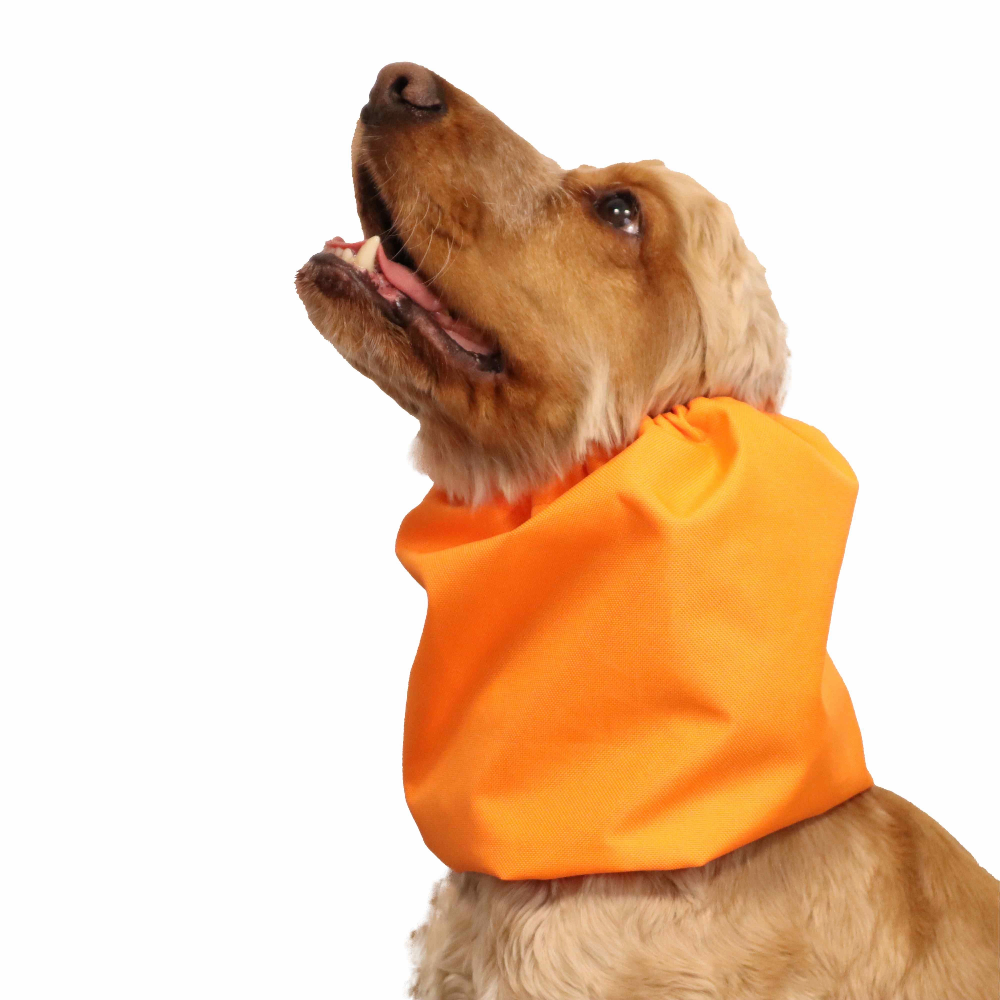 Waterproof Dog Snood | Orange