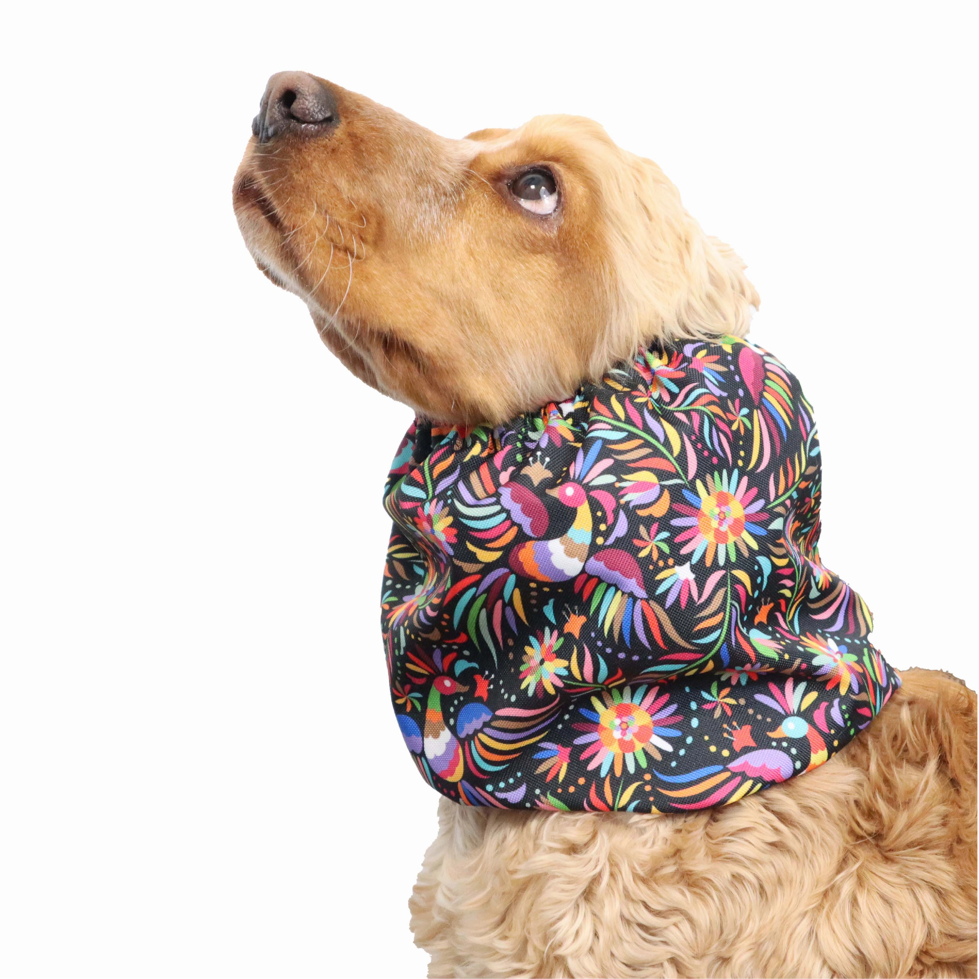 Waterproof Dog Snood | Peacock