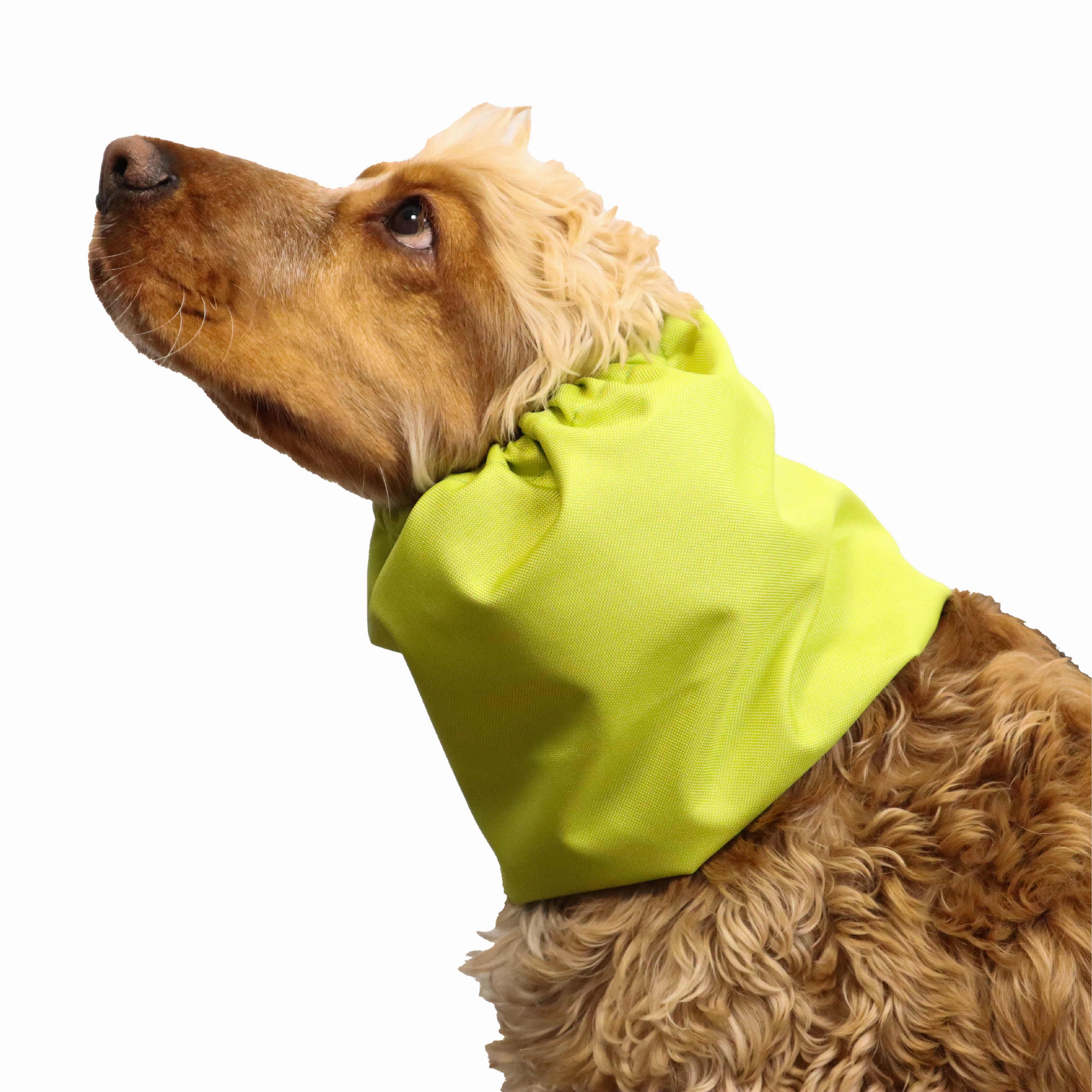 Waterproof Dog Snood | Pistachio Green