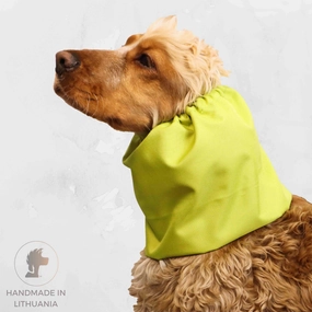 Waterproof Dog Snood | Pistachio Green