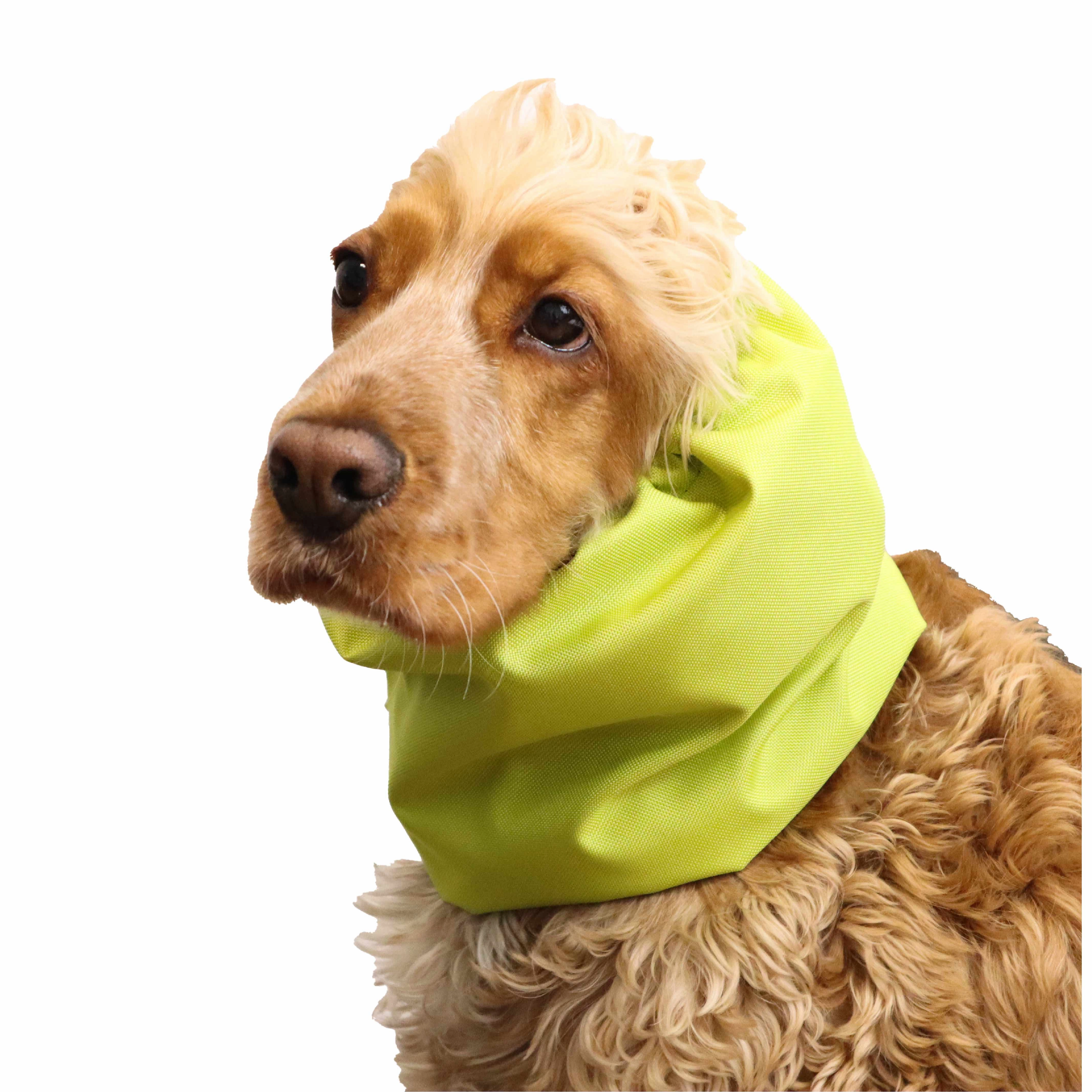 Waterproof Dog Snood | Pistachio Green