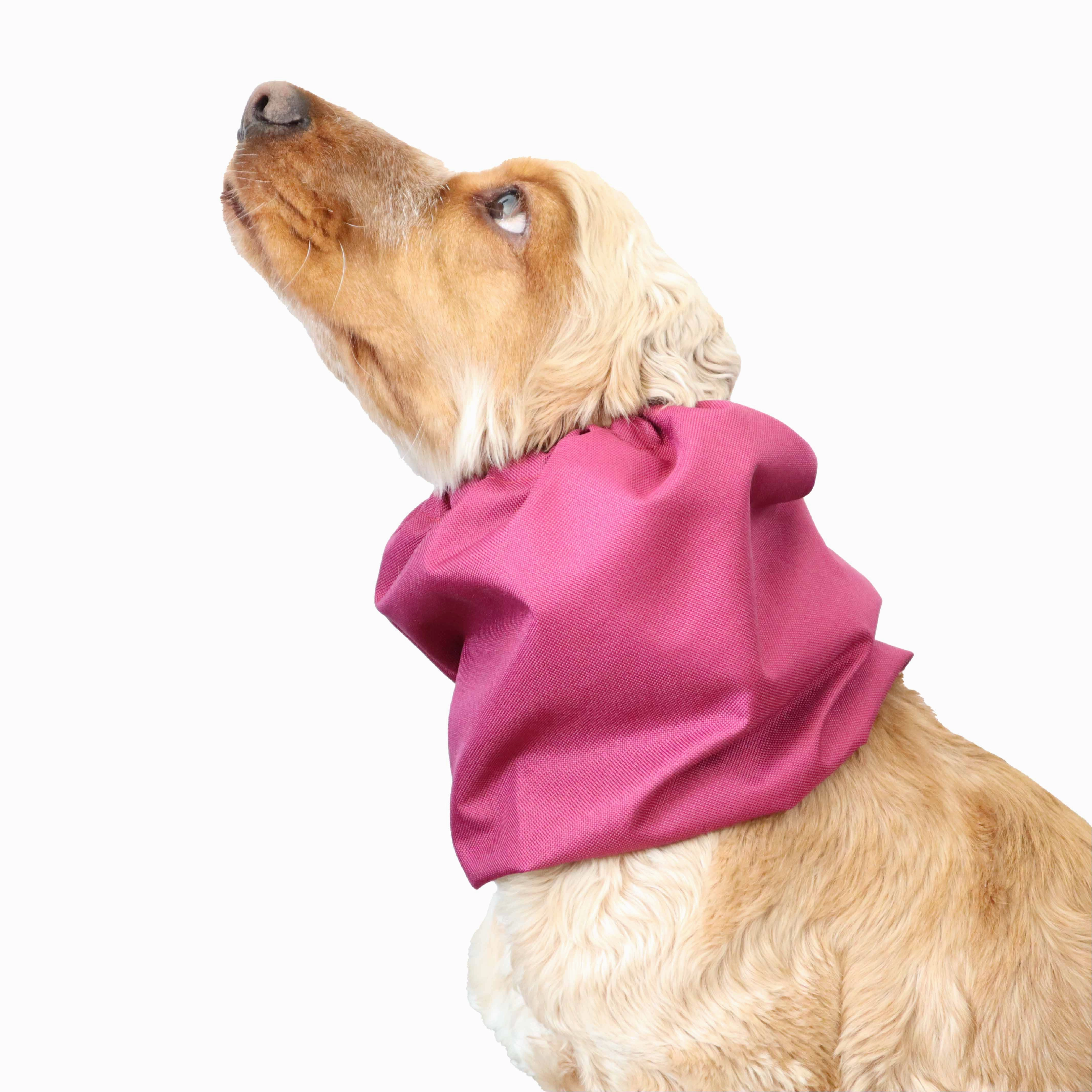 Waterproof Dog Snood | Raspberry