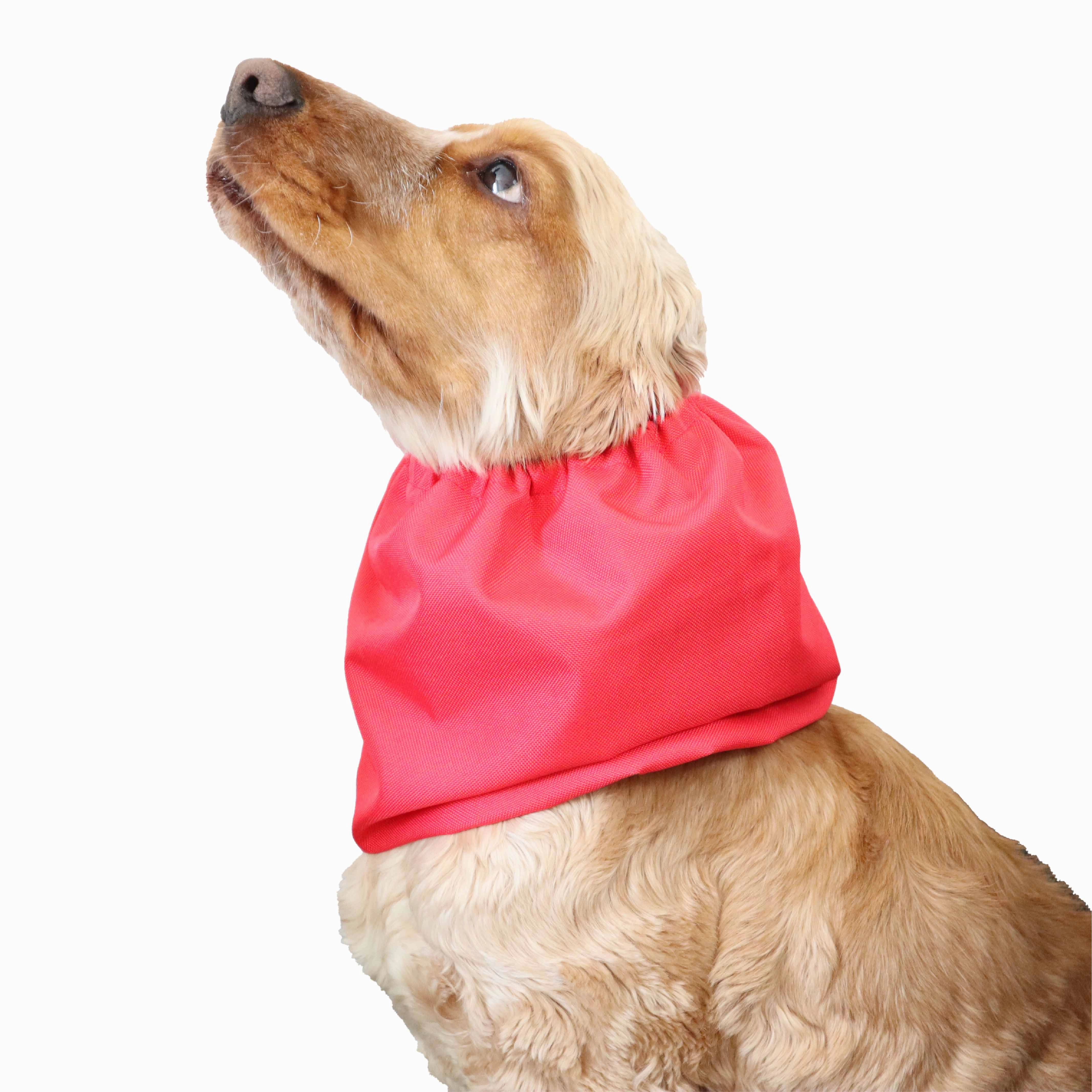 Waterproof Dog Snood | Red