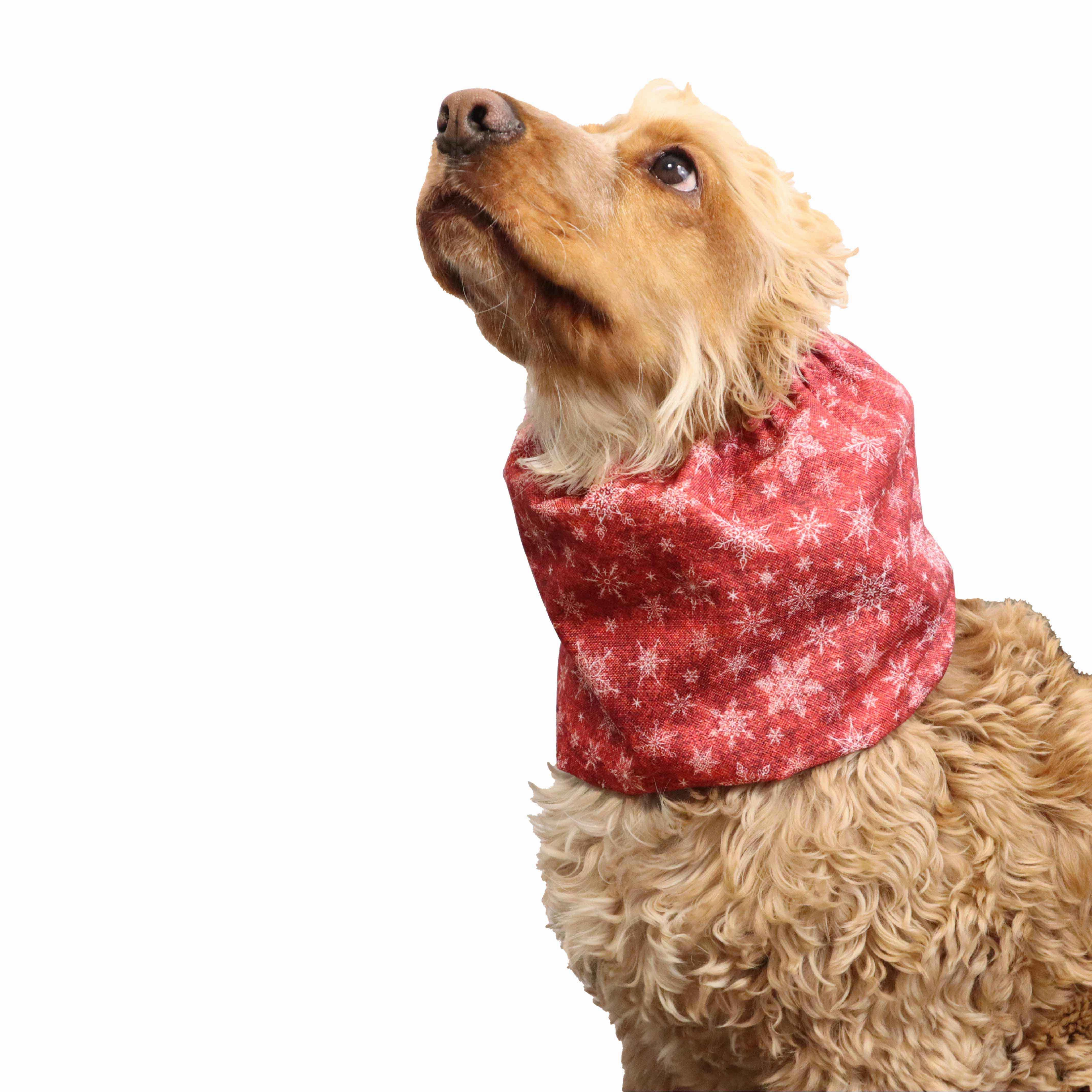Waterproof Dog Snood | Red Snowflakes